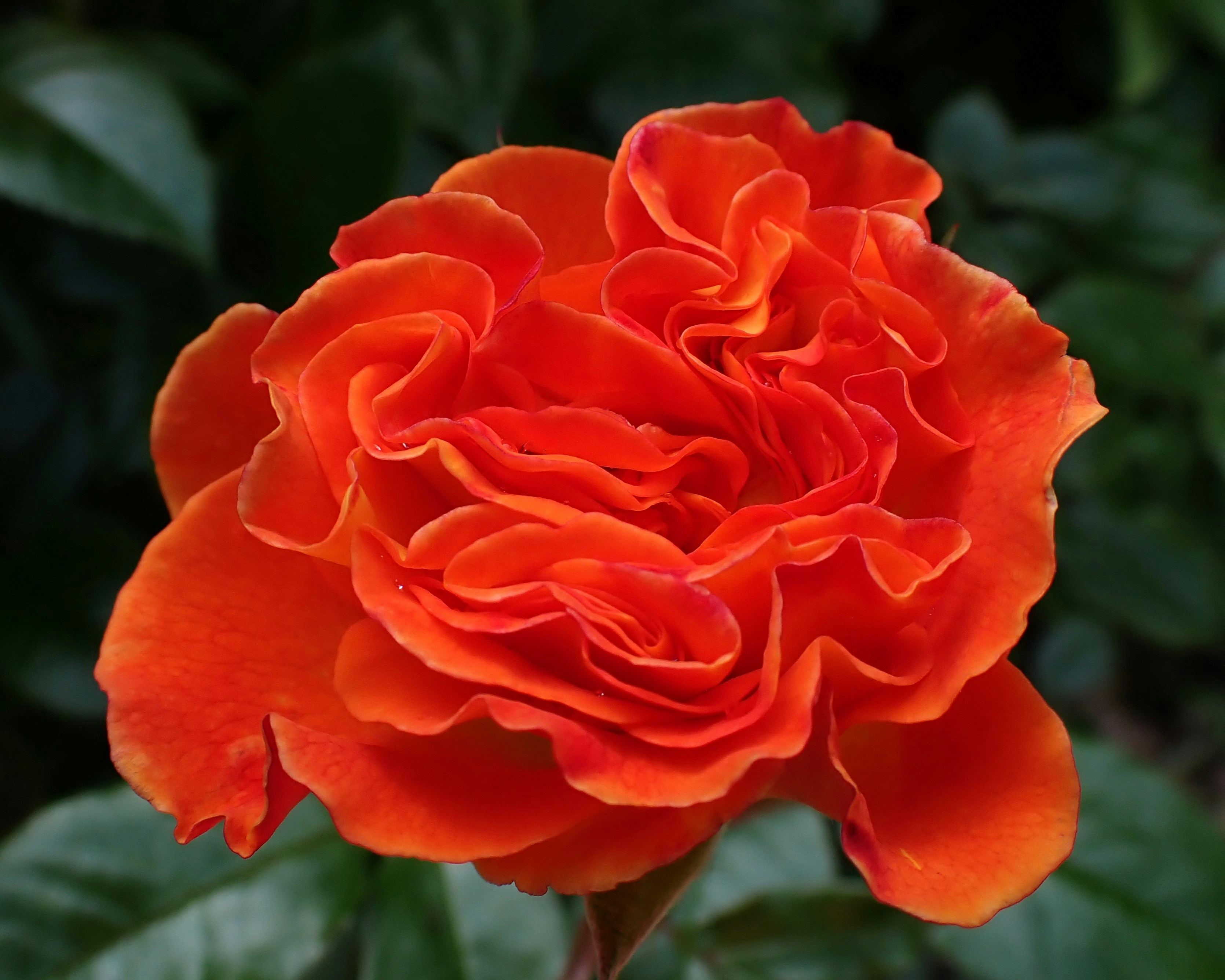 Photo by mostlymarvelling