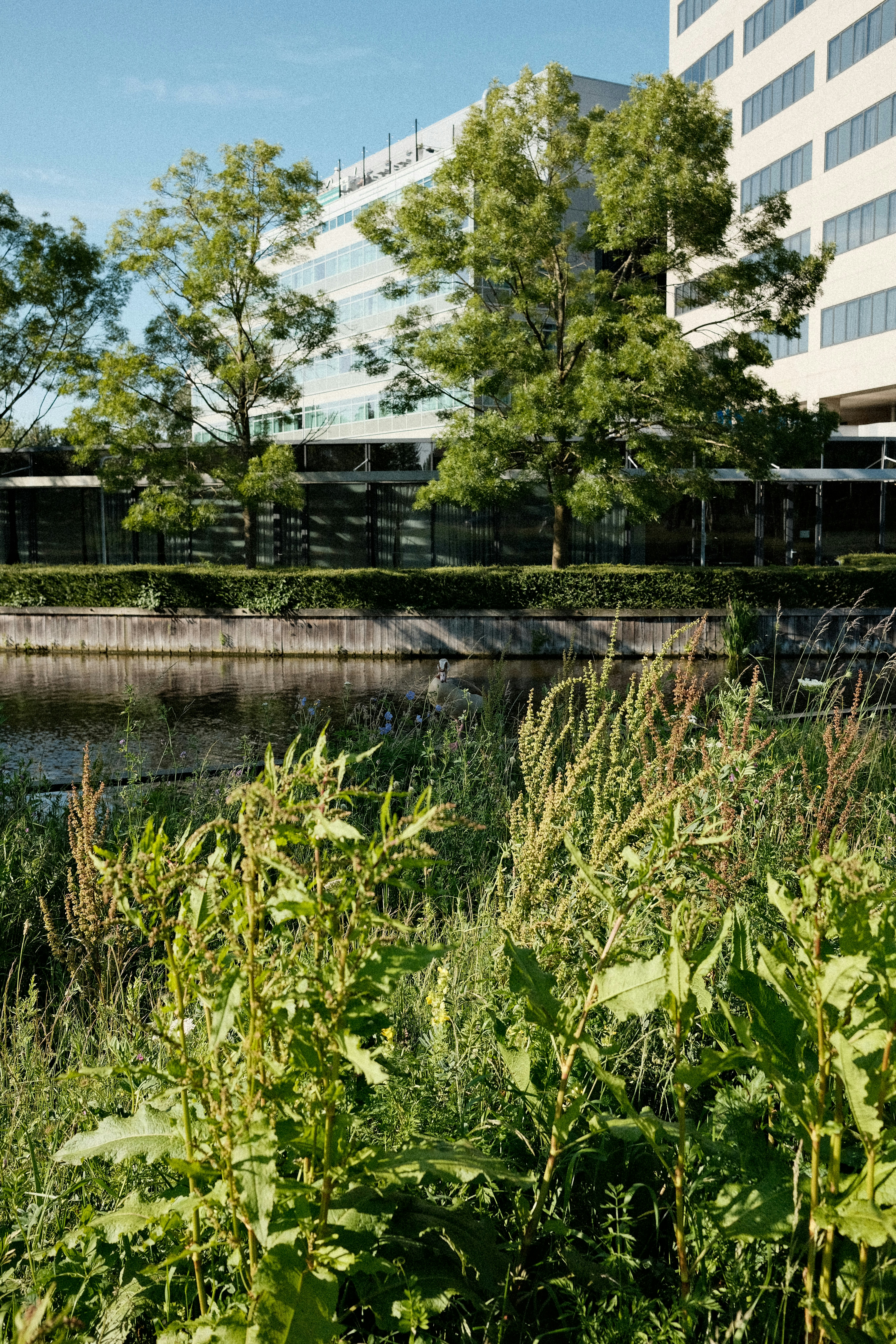 Photo by valentinlacoste