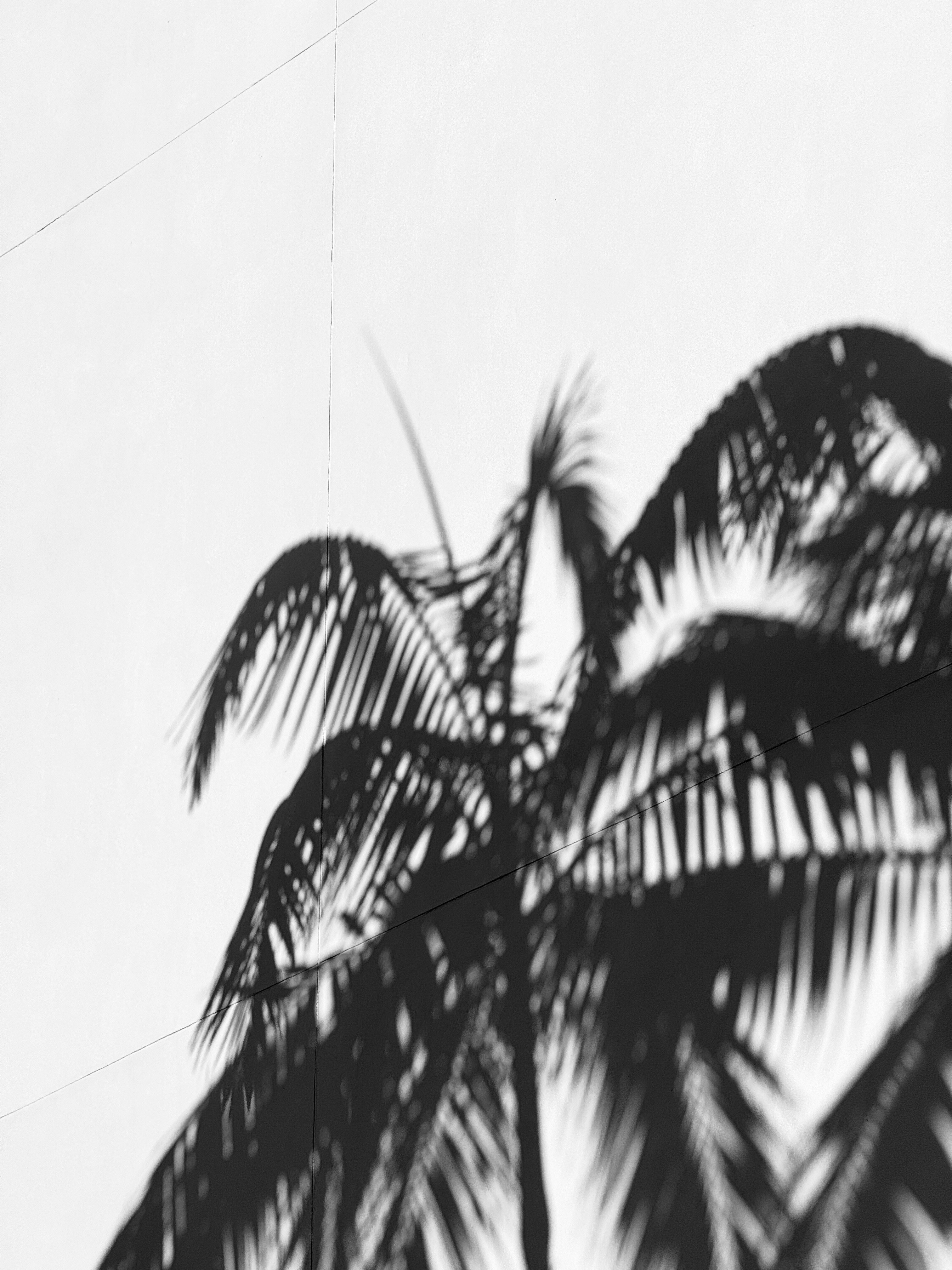 Les erreurs courantes concernant