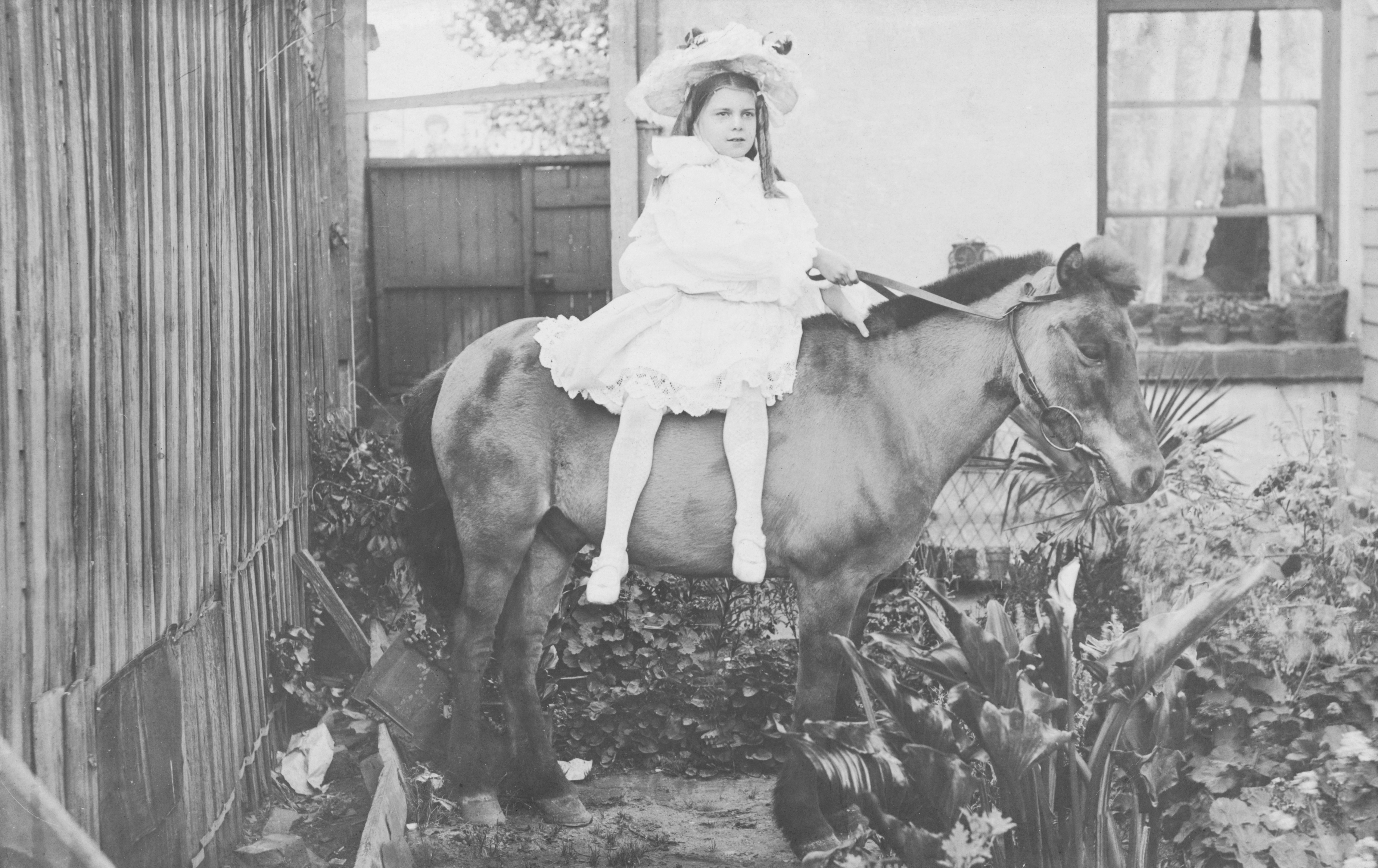 Photo by nationallibraryofaustralia