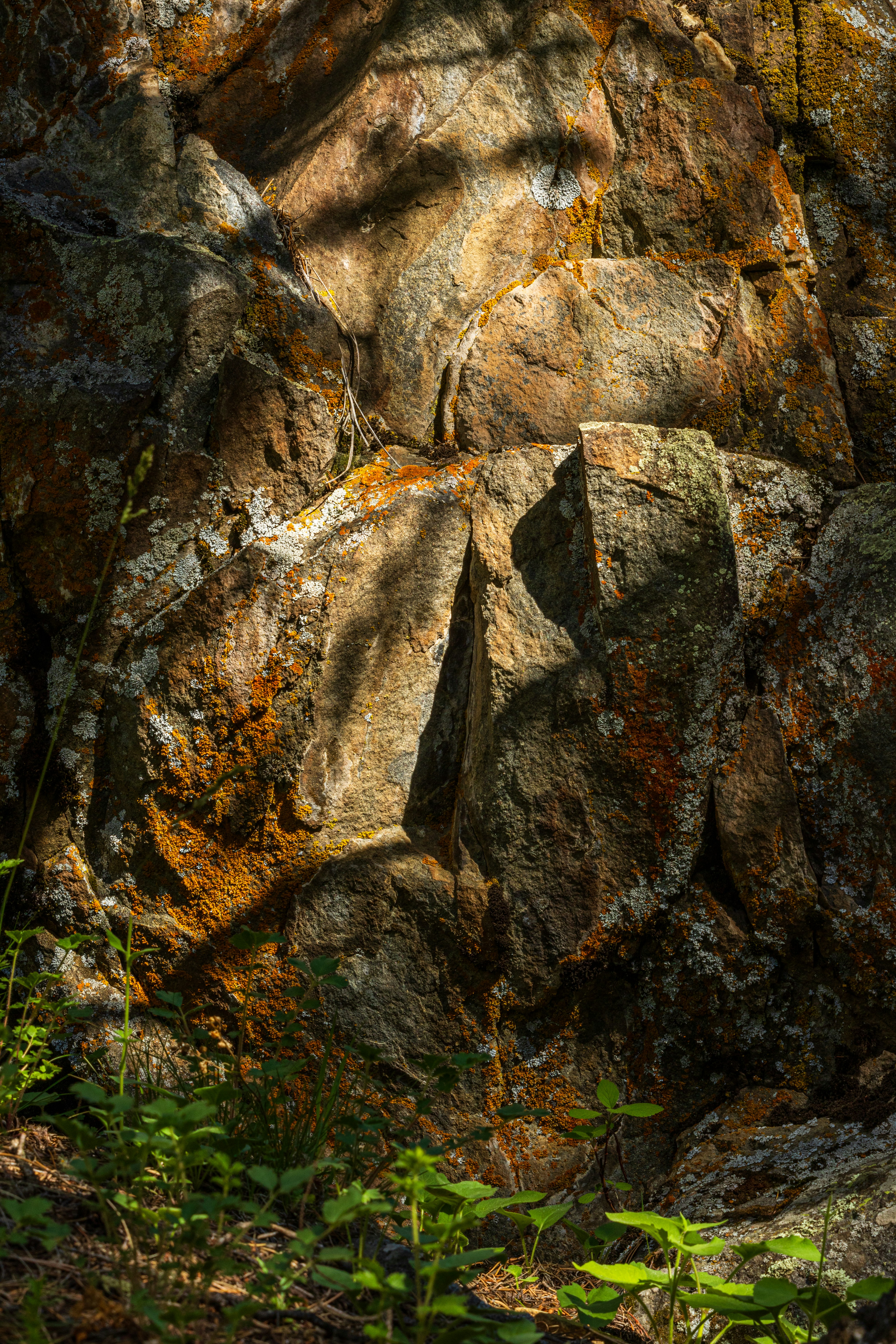 Photo by brandonstoll