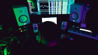 A person sitting in front of a computer monitor