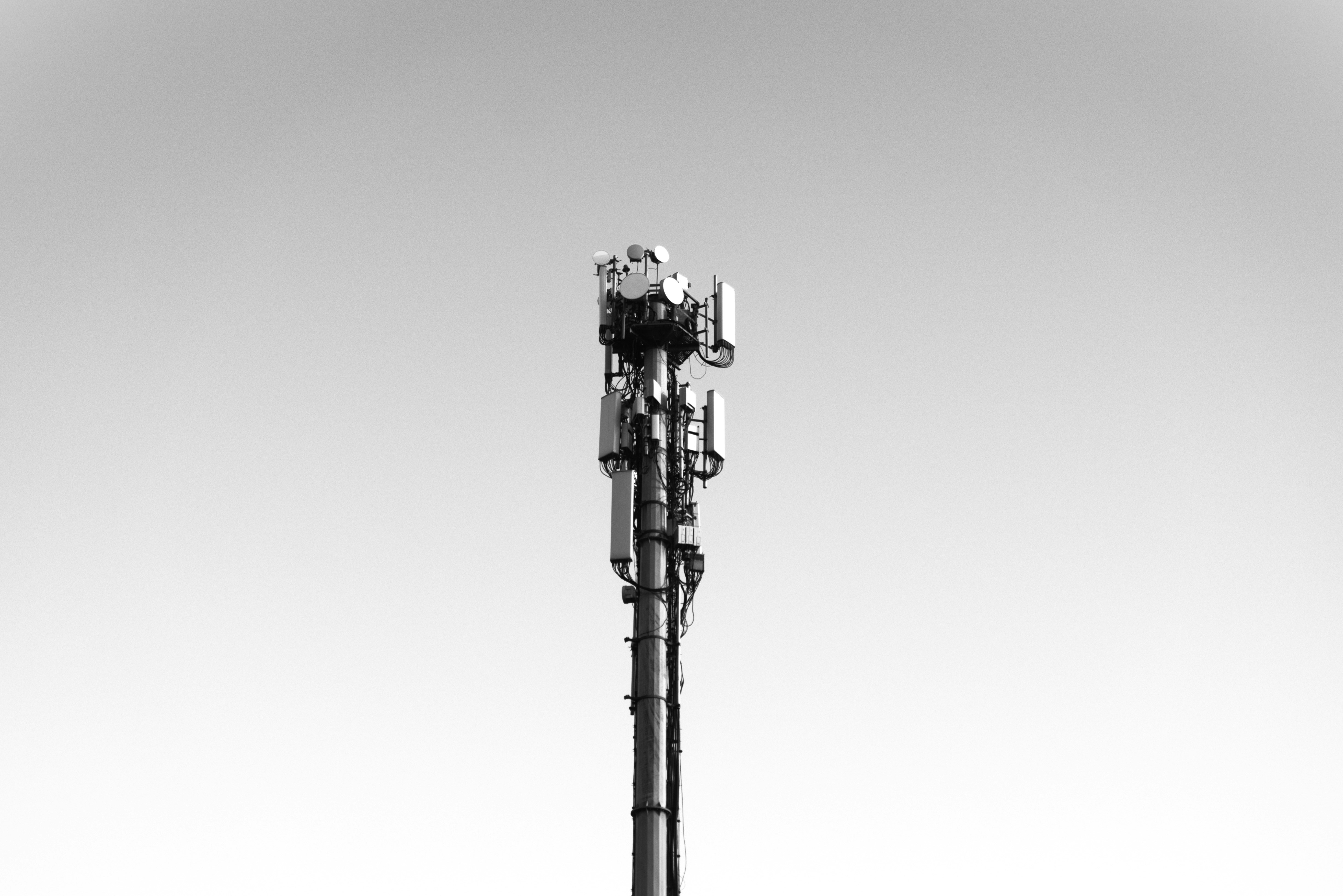 Photo by mcankurucam