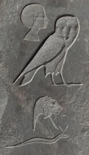 Ancient egyptian hieroglyphs of a man, owl, lion, and snake.