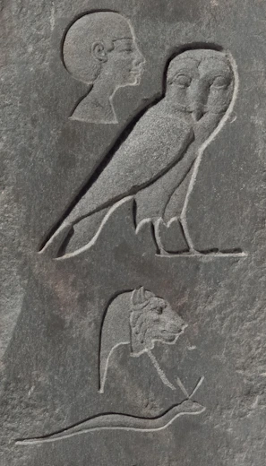 Ancient egyptian hieroglyphs of a man, owl, lion, and snake.