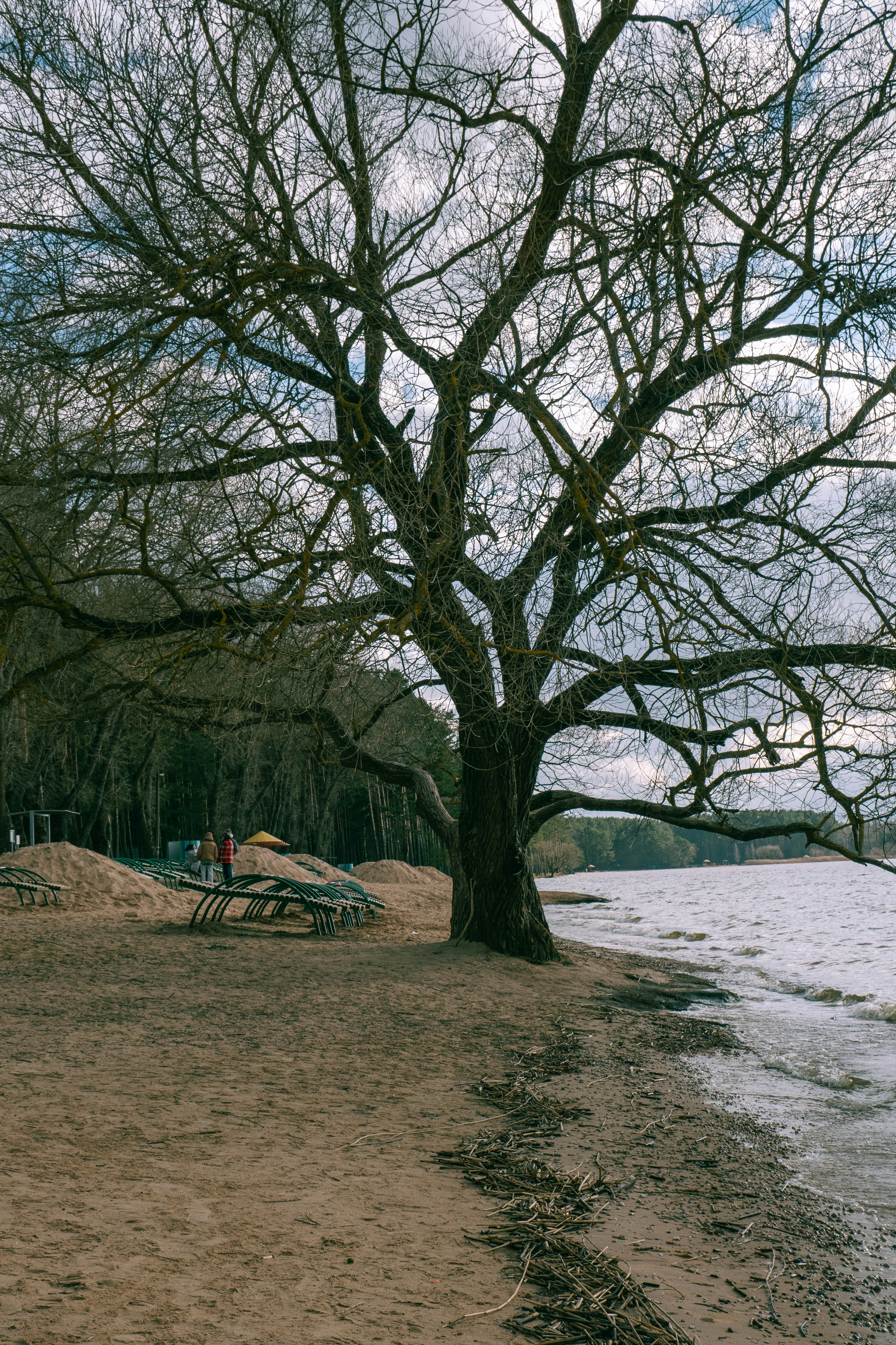 Photo by asidarau