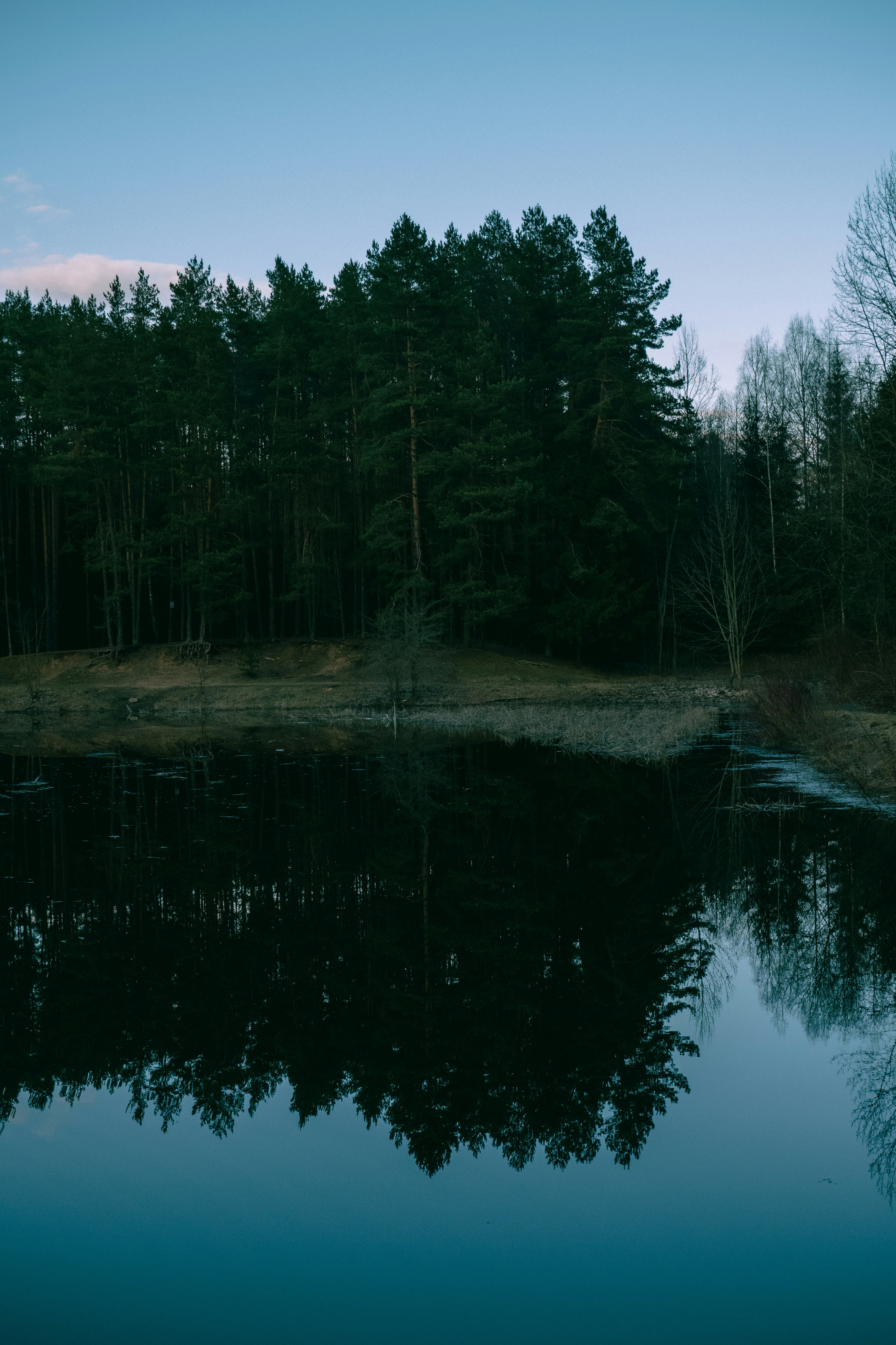 Photo by asidarau