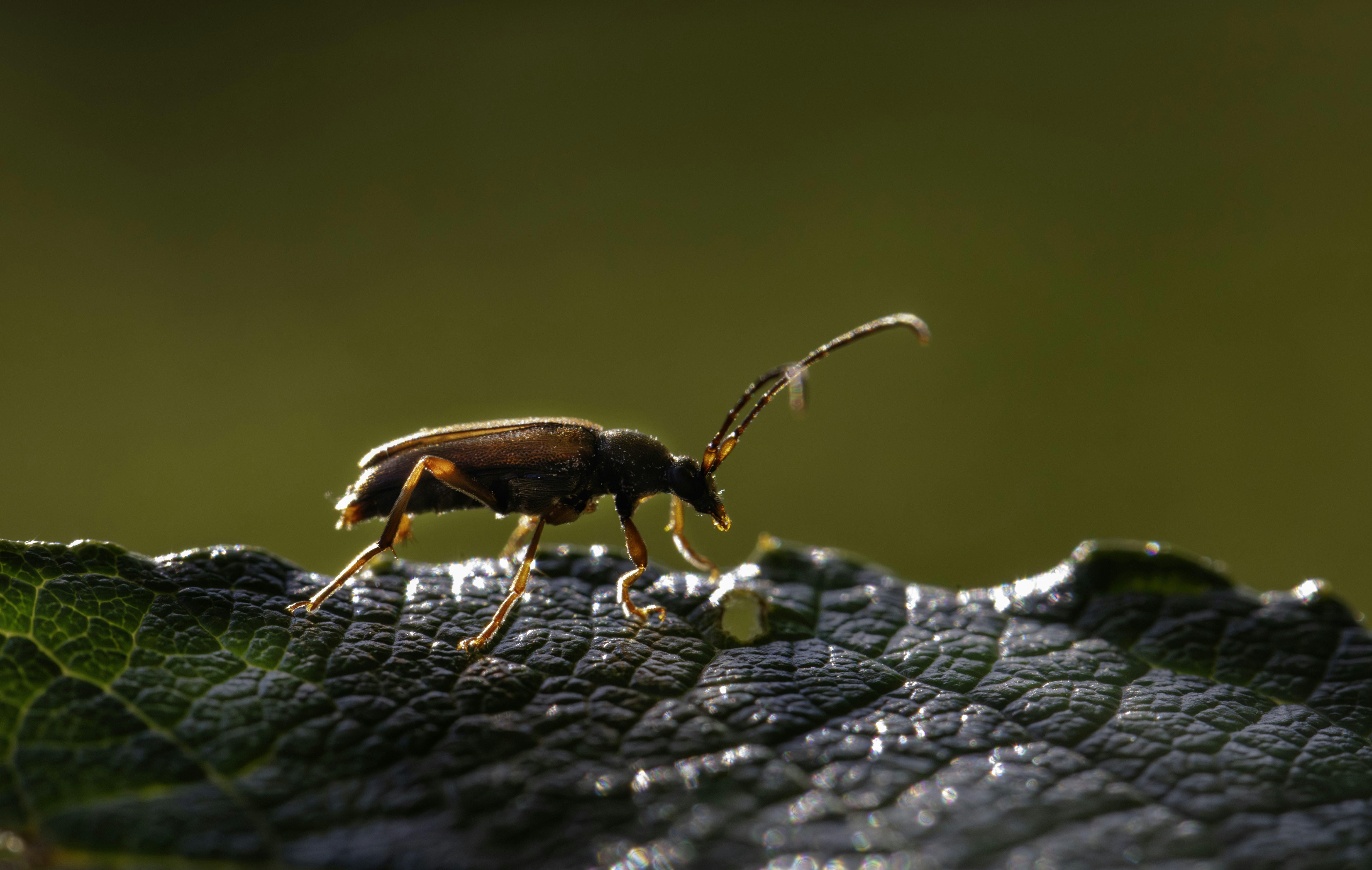 Photo by erik_karits