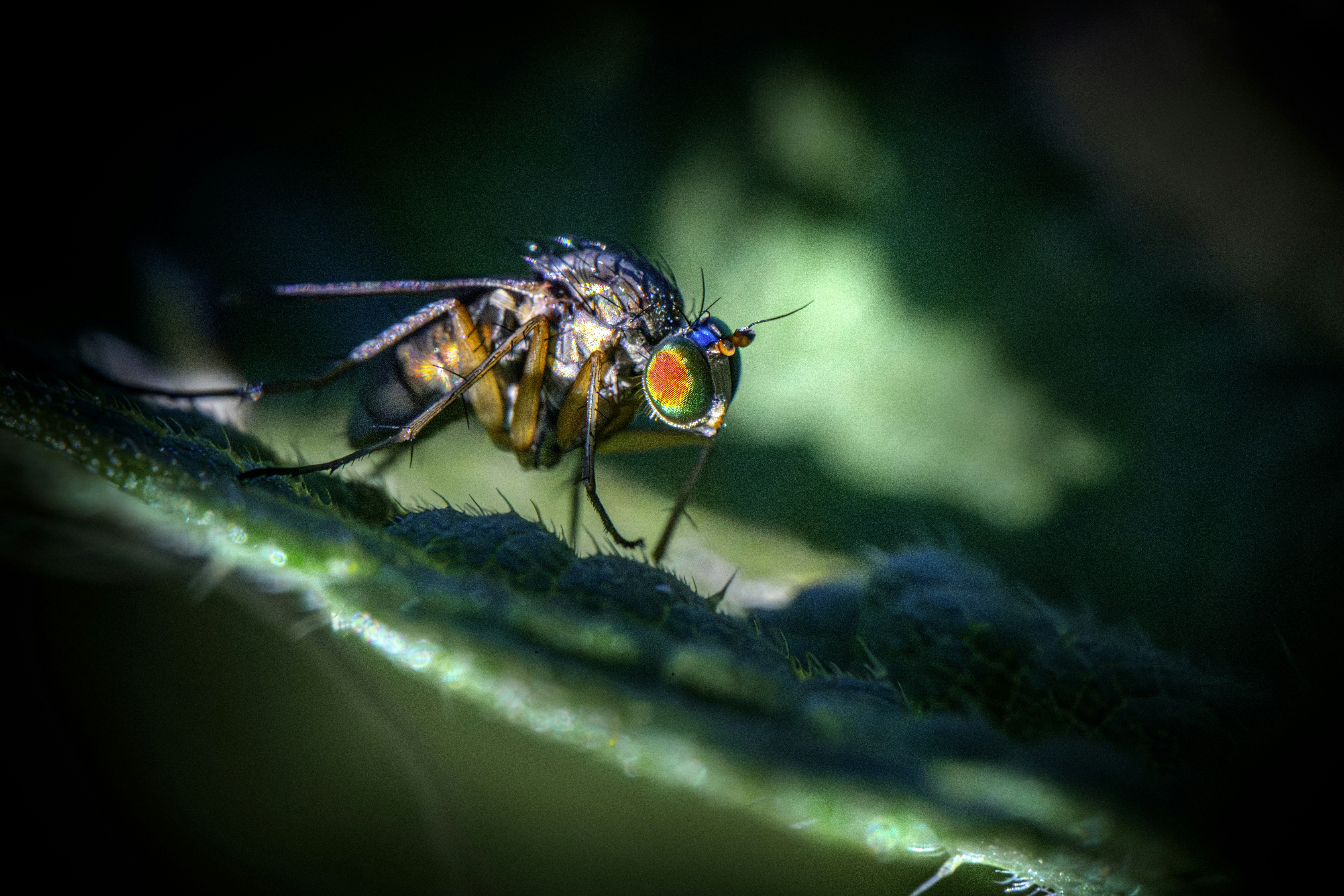 Photo by erik_karits