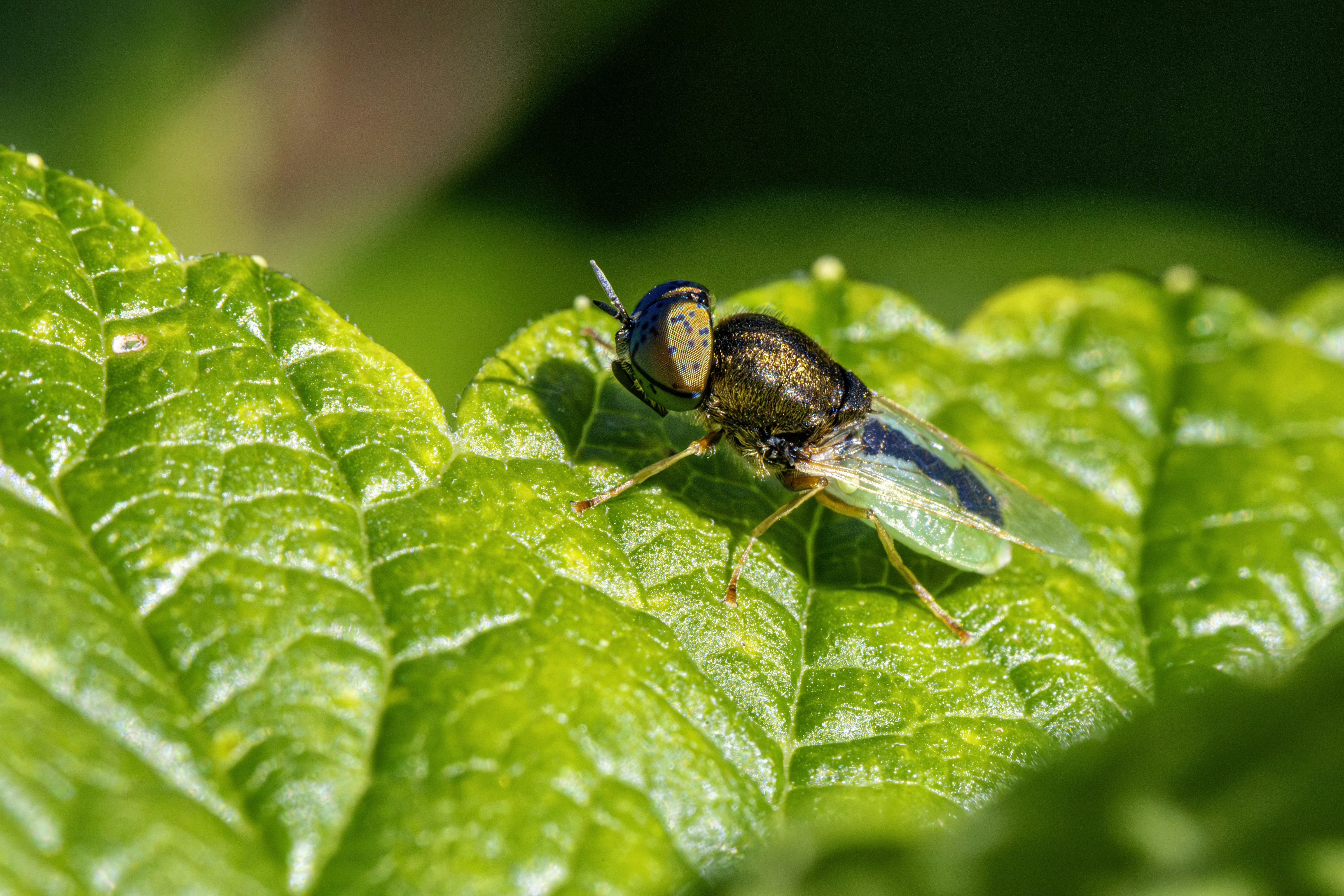 Photo by erik_karits