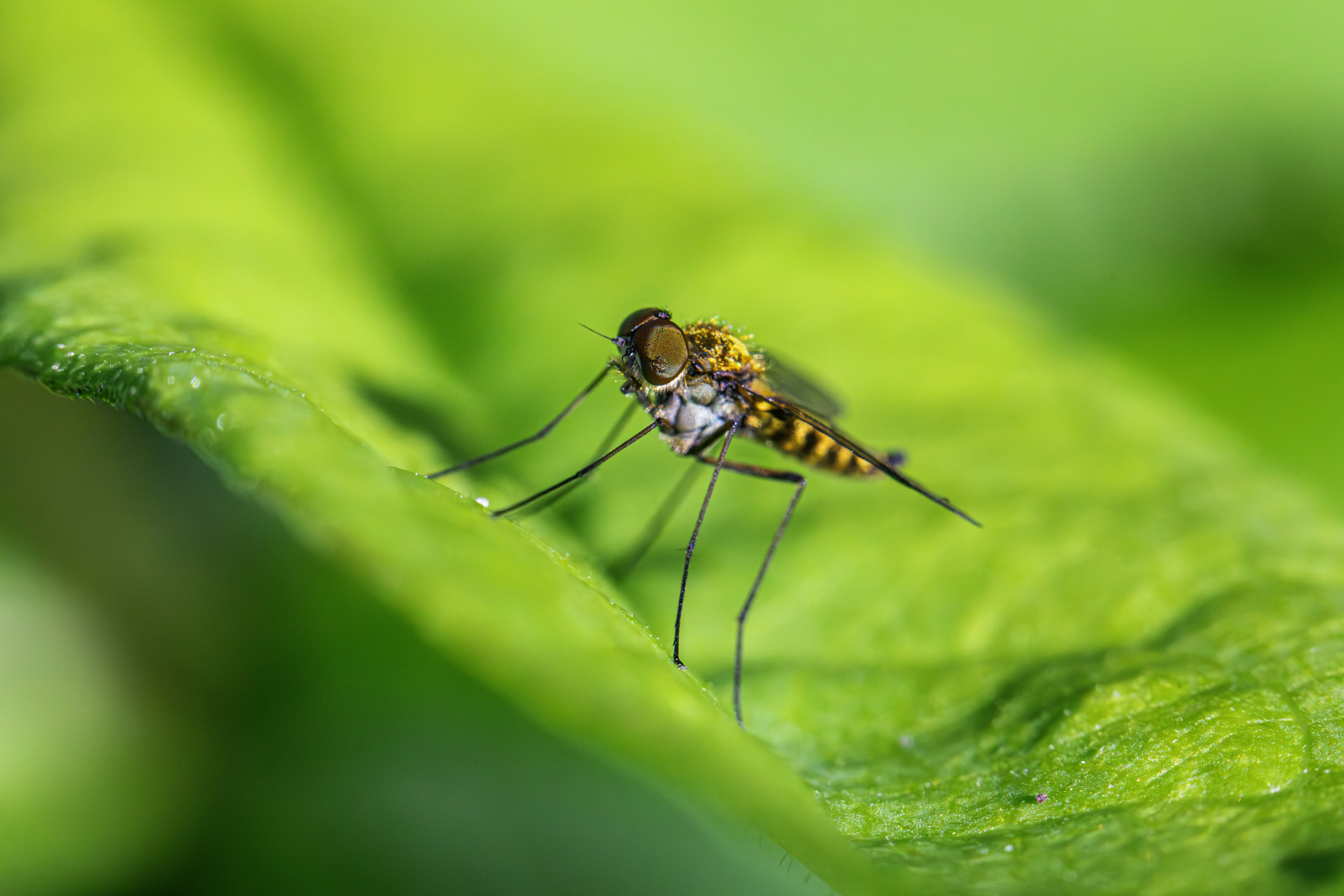 Photo by erik_karits