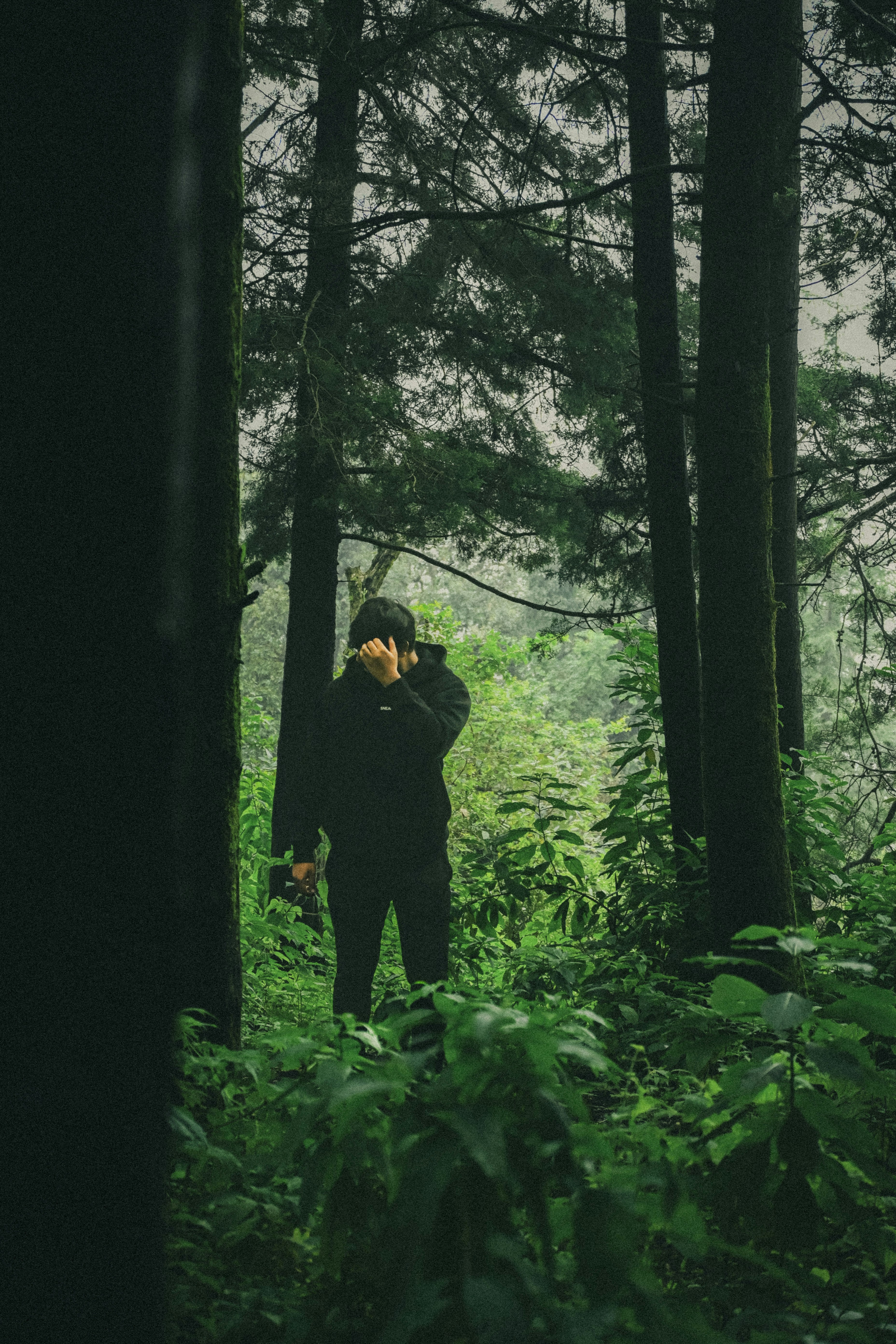 Photo by singhhayushh