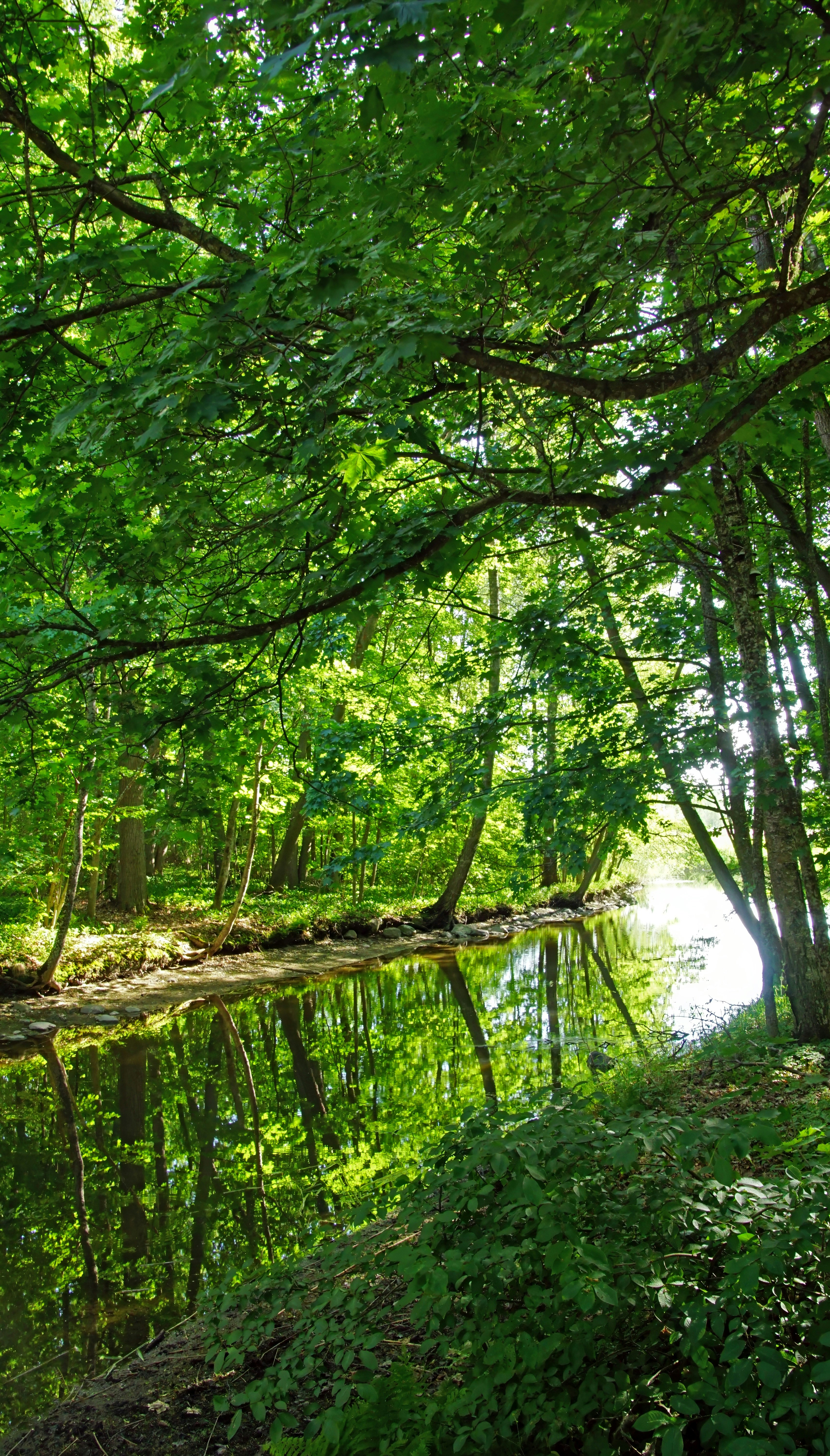 Photo by marttisalmi