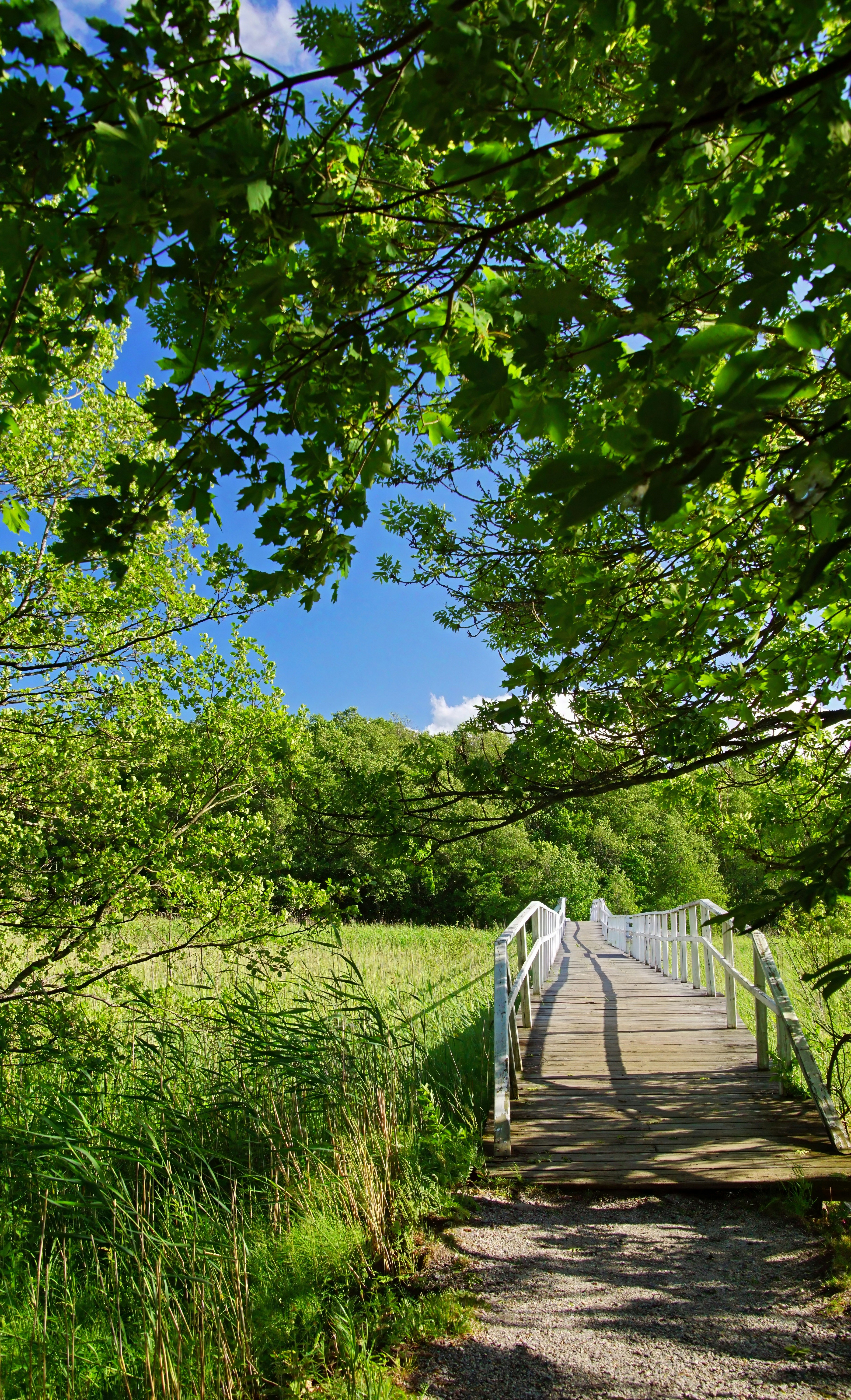 Photo by marttisalmi