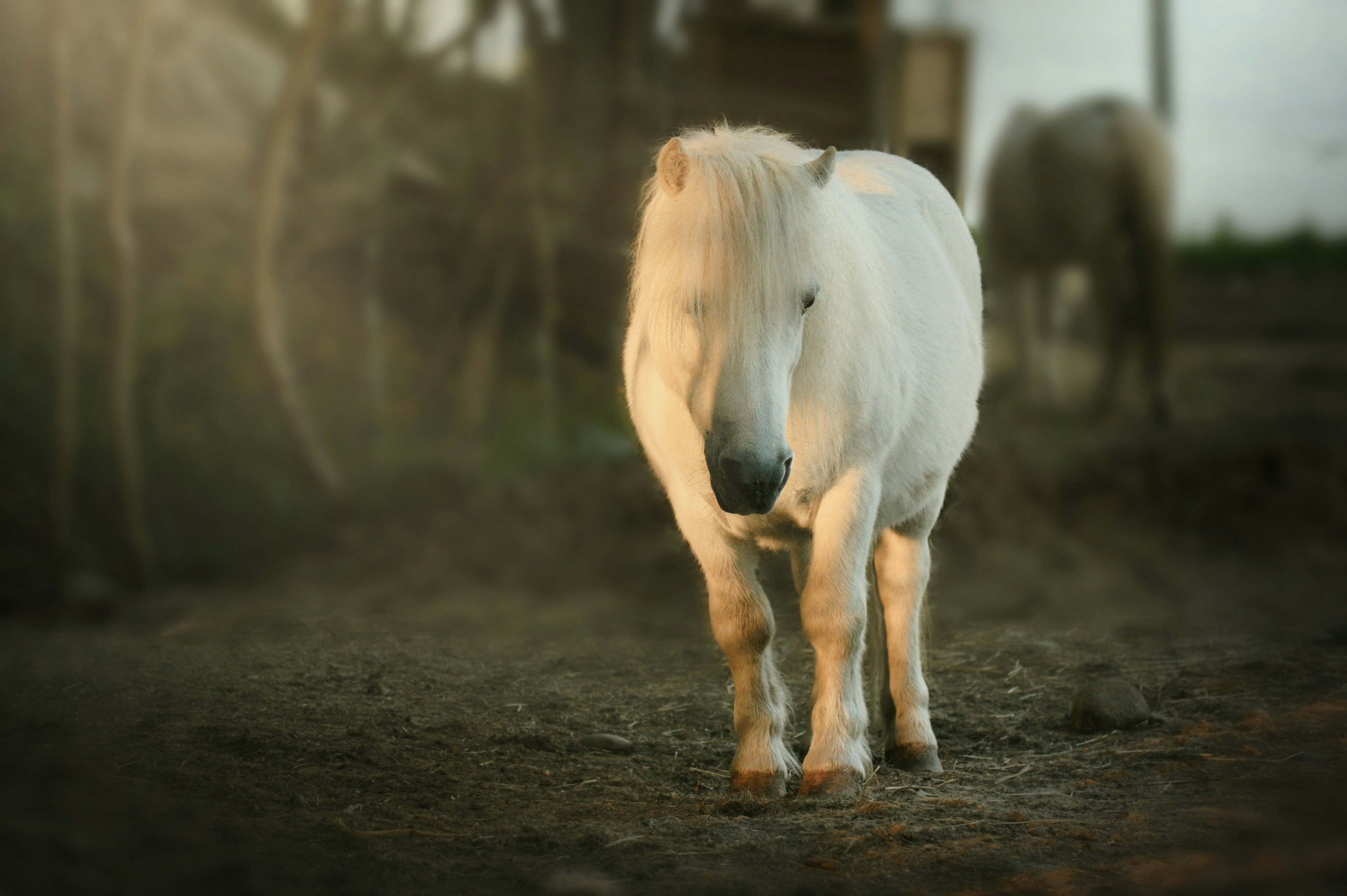 Photo by kristinokarlsen
