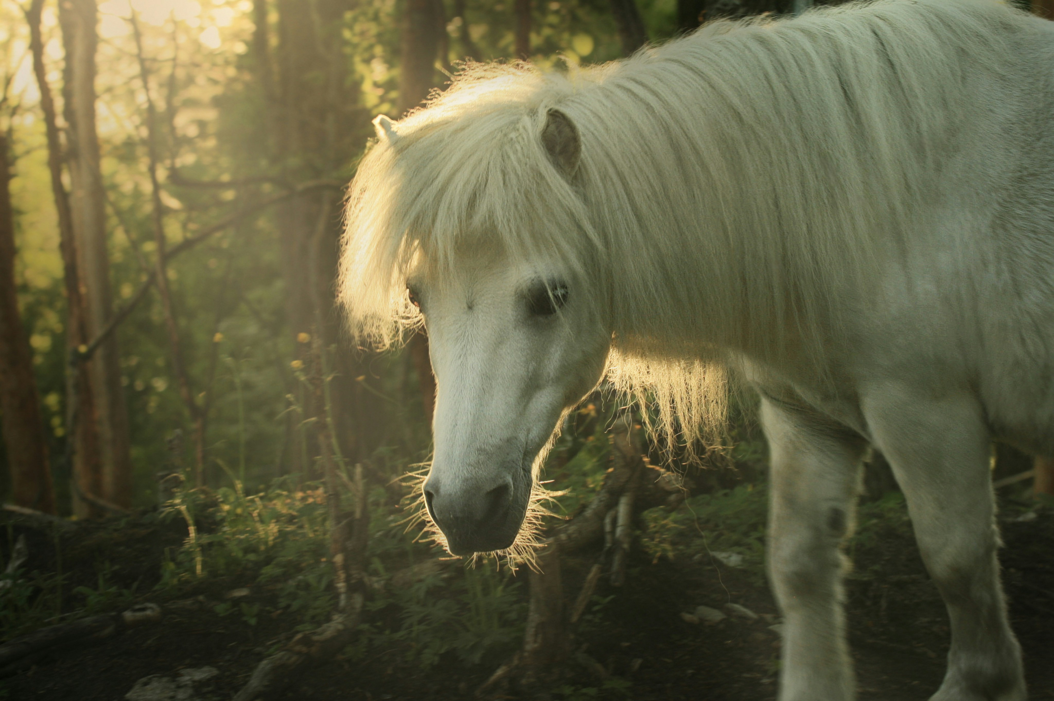 Photo by kristinokarlsen