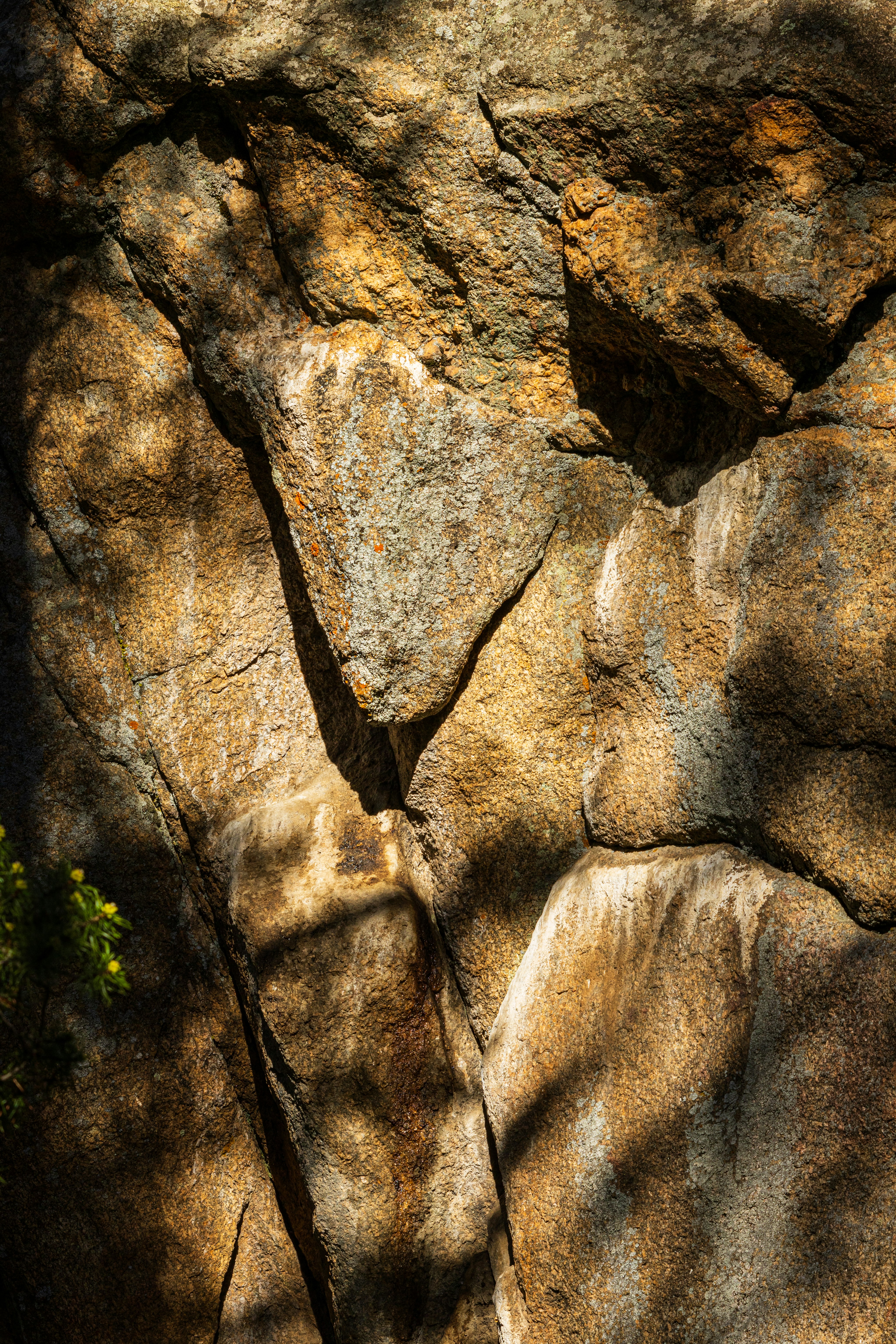 Photo by brandonstoll