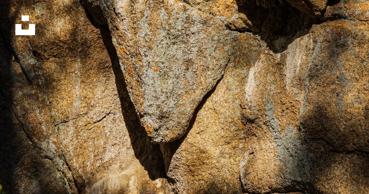 Pared Rocosa Una gran pared rocosa con un pequeño árbol que crece en ella foto ...