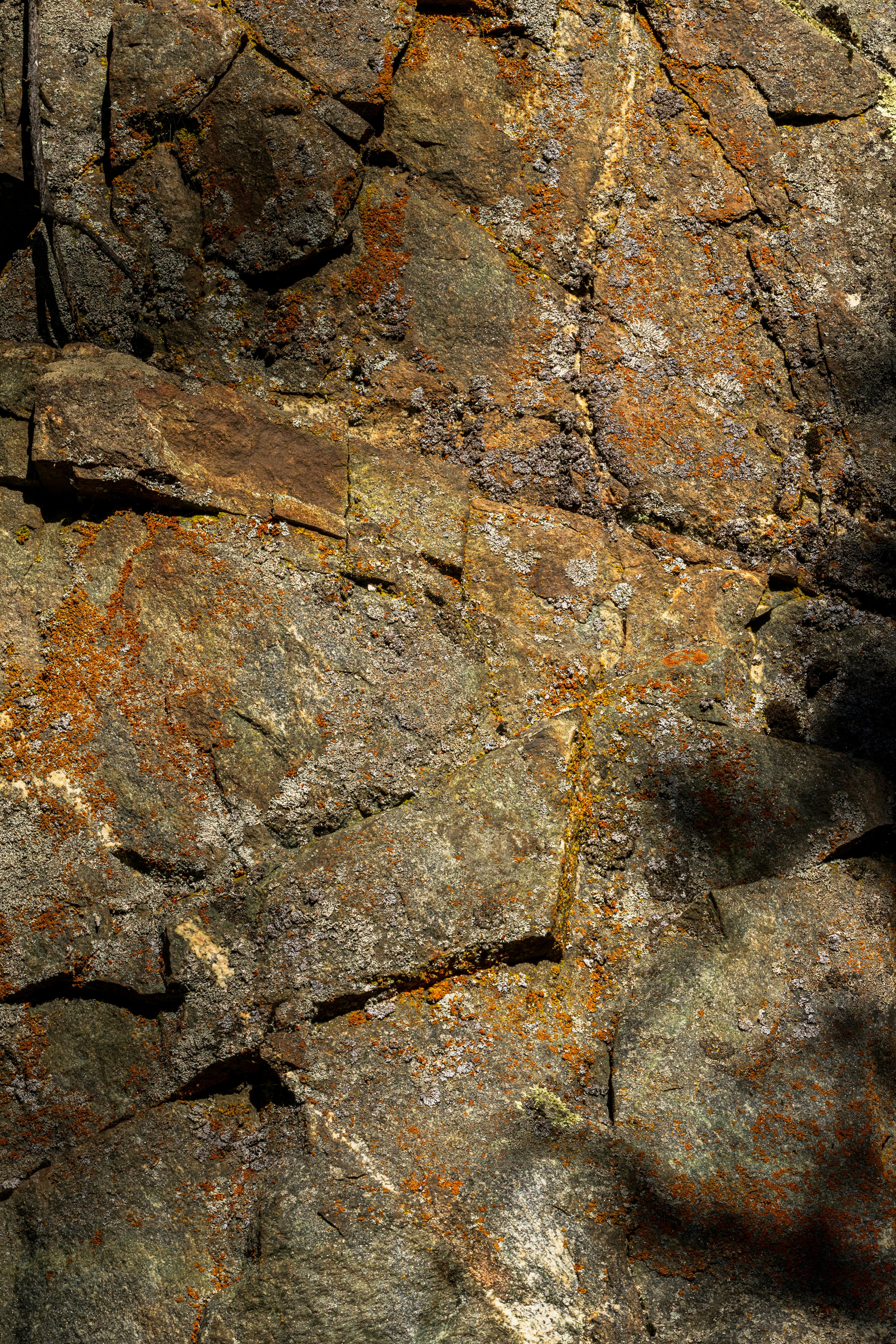 Photo by brandonstoll