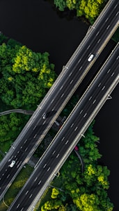 An aerial view of a highway in the middle of a forest