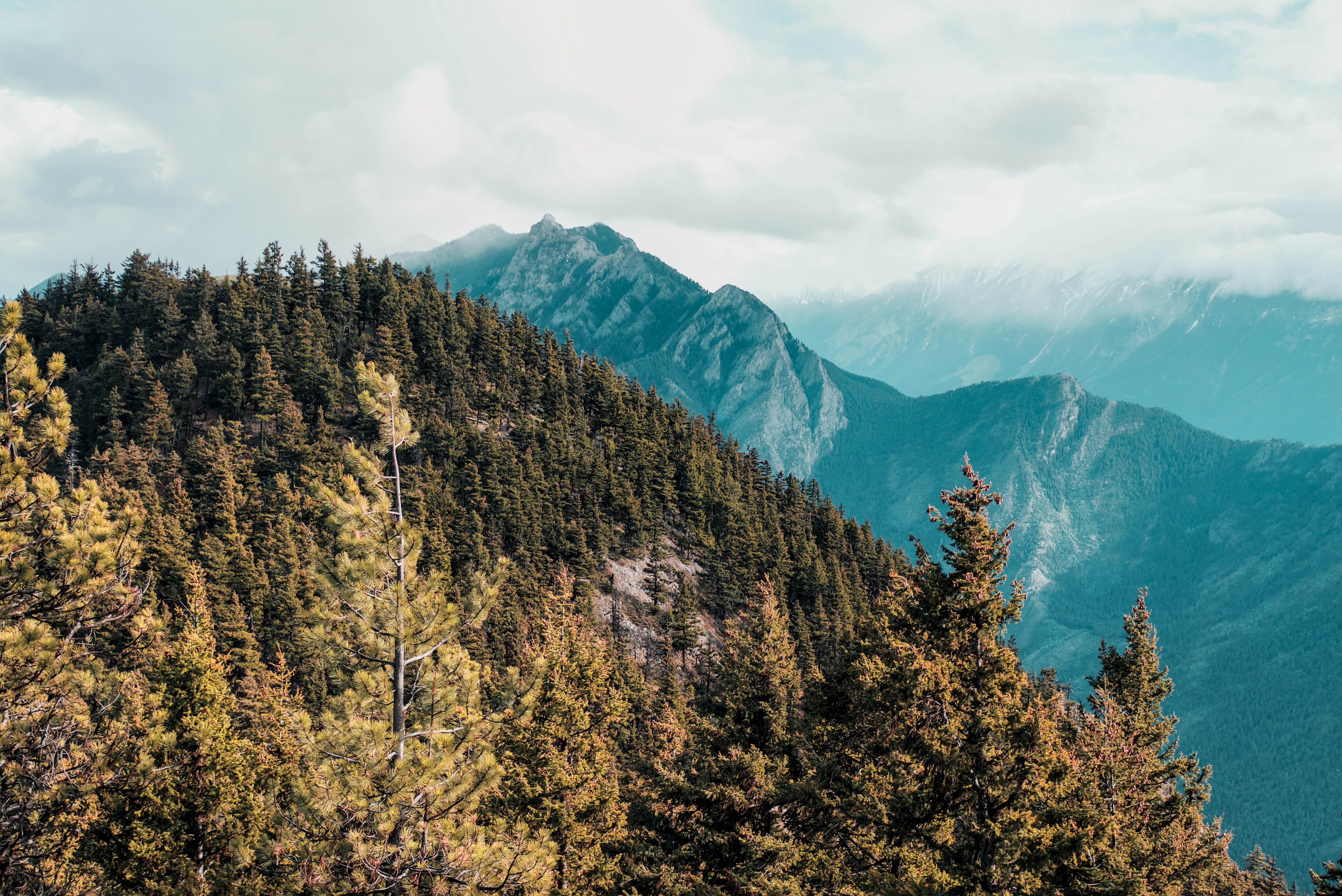 Photo by dcanadianphotographer