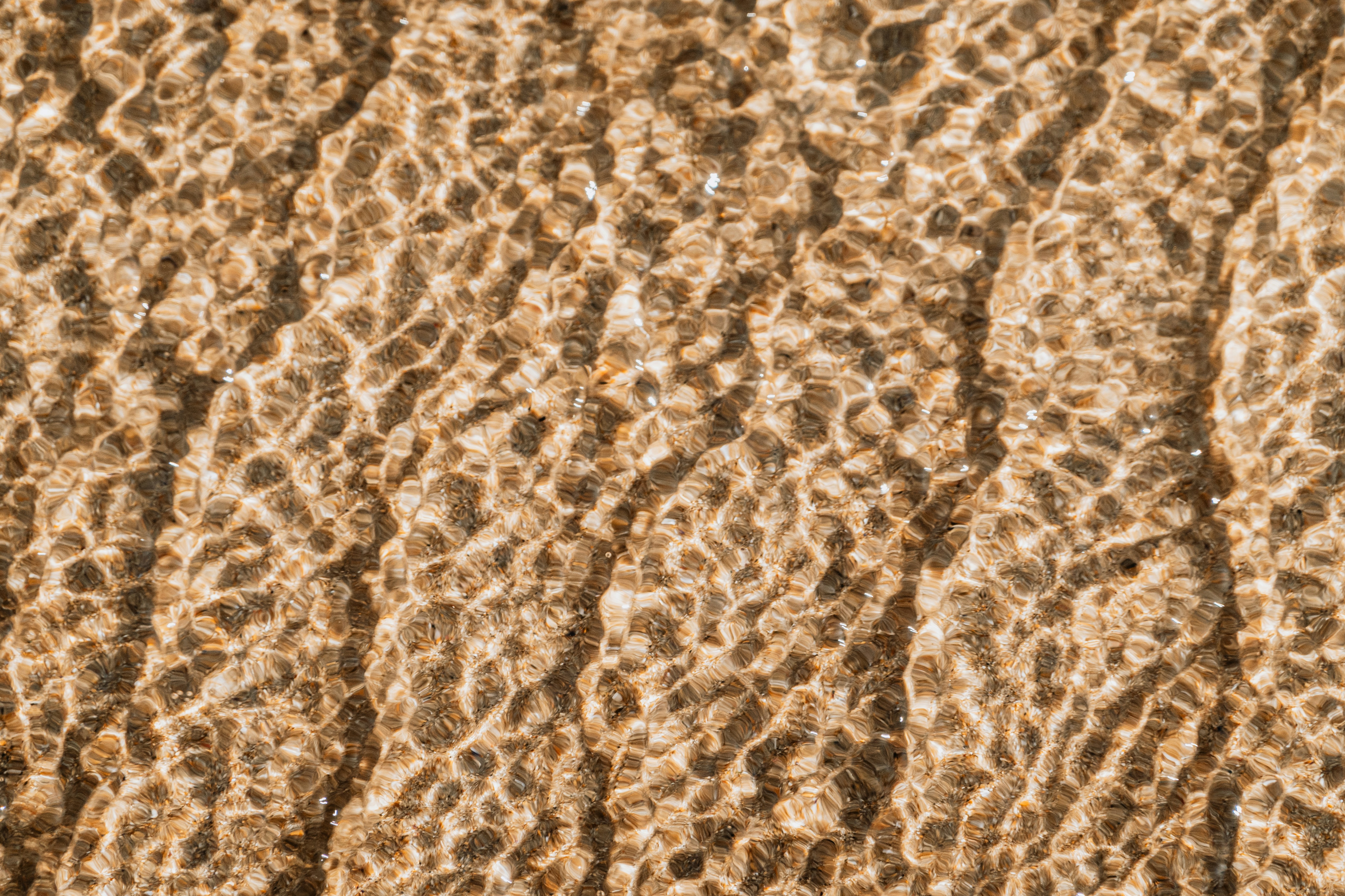 Photo by reganography