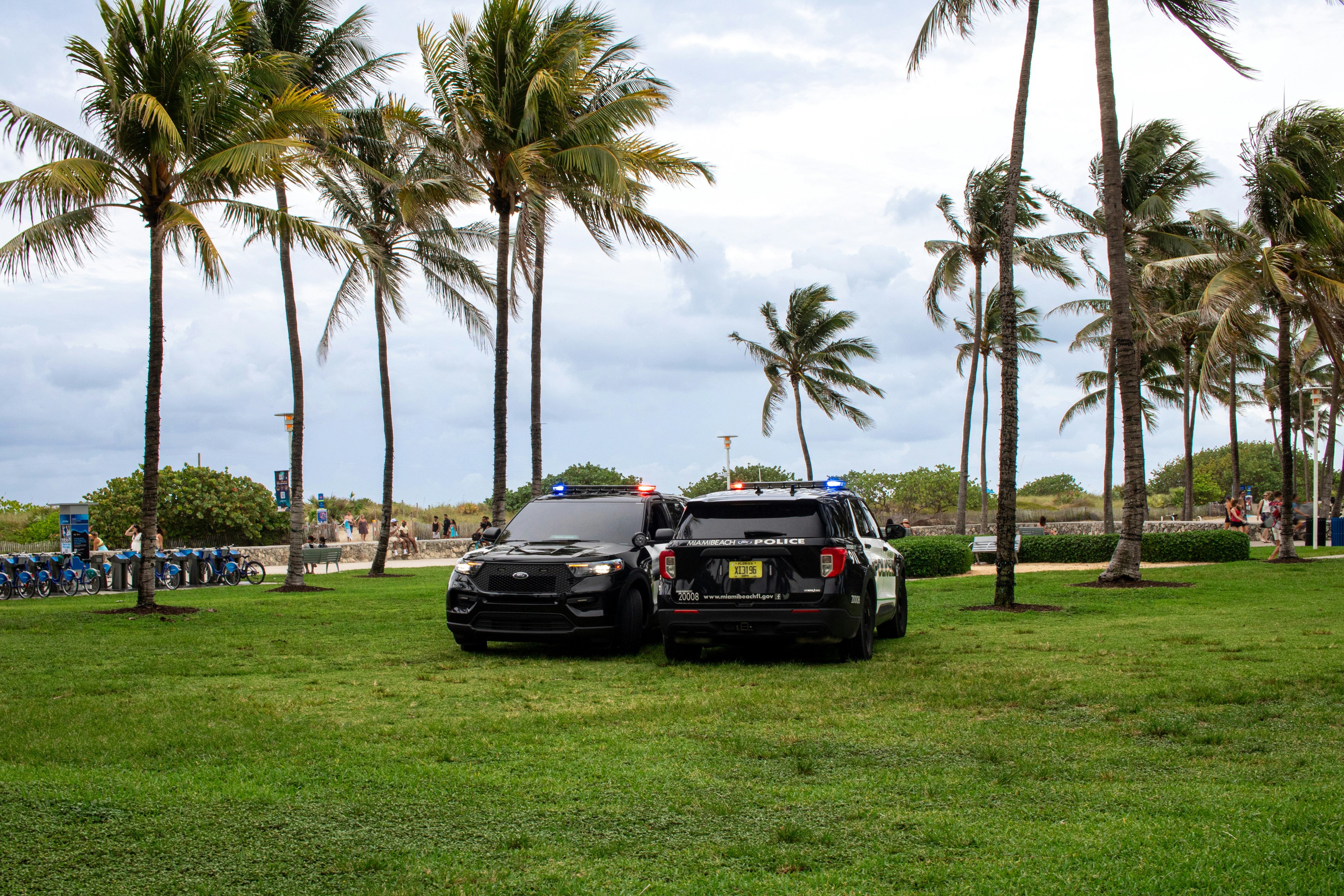 A couple of cars parked next to each other on a lush green field