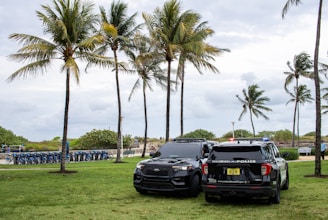 A couple of cars parked next to each other on a lush green field