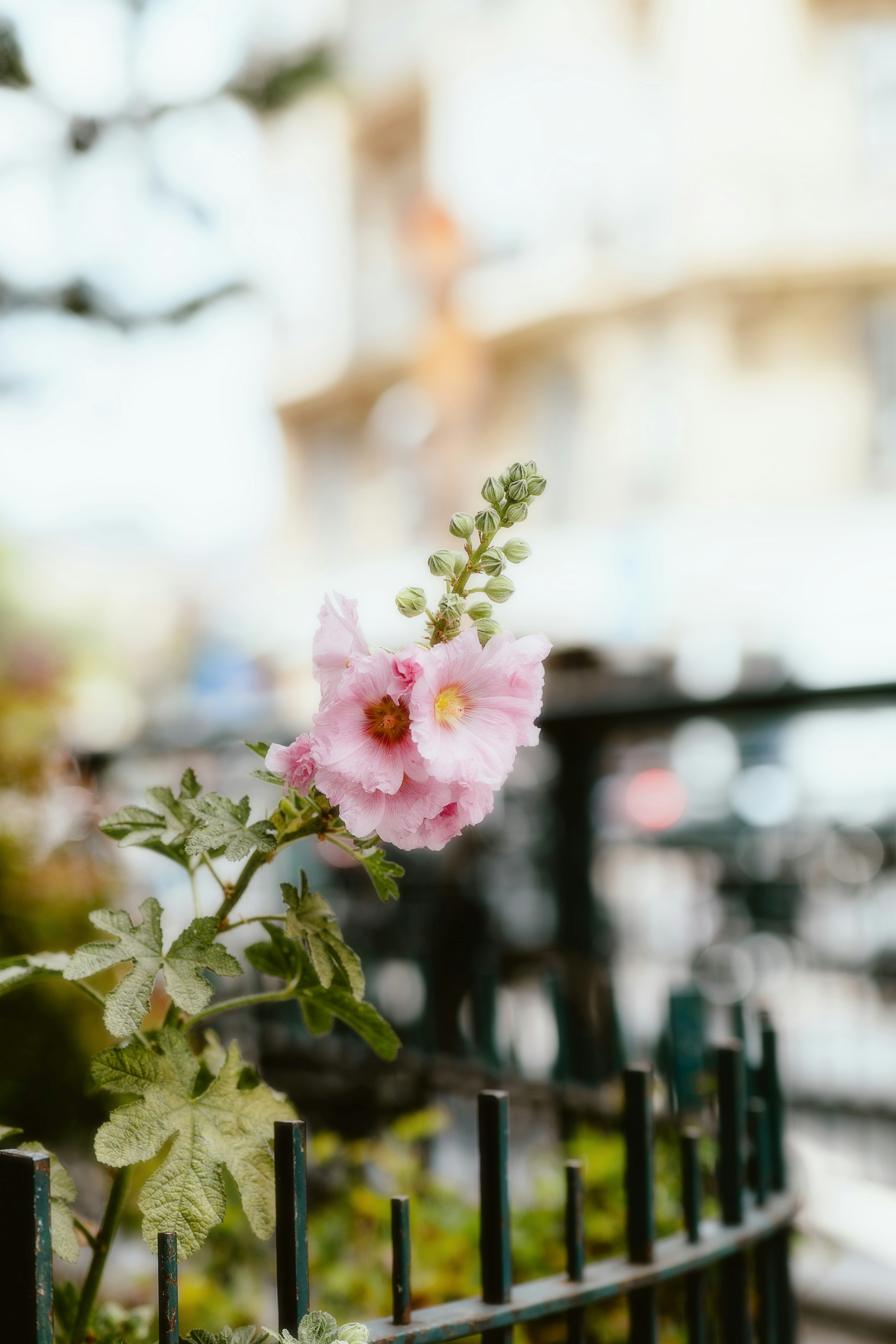 I am grateful for all there is to enjoy