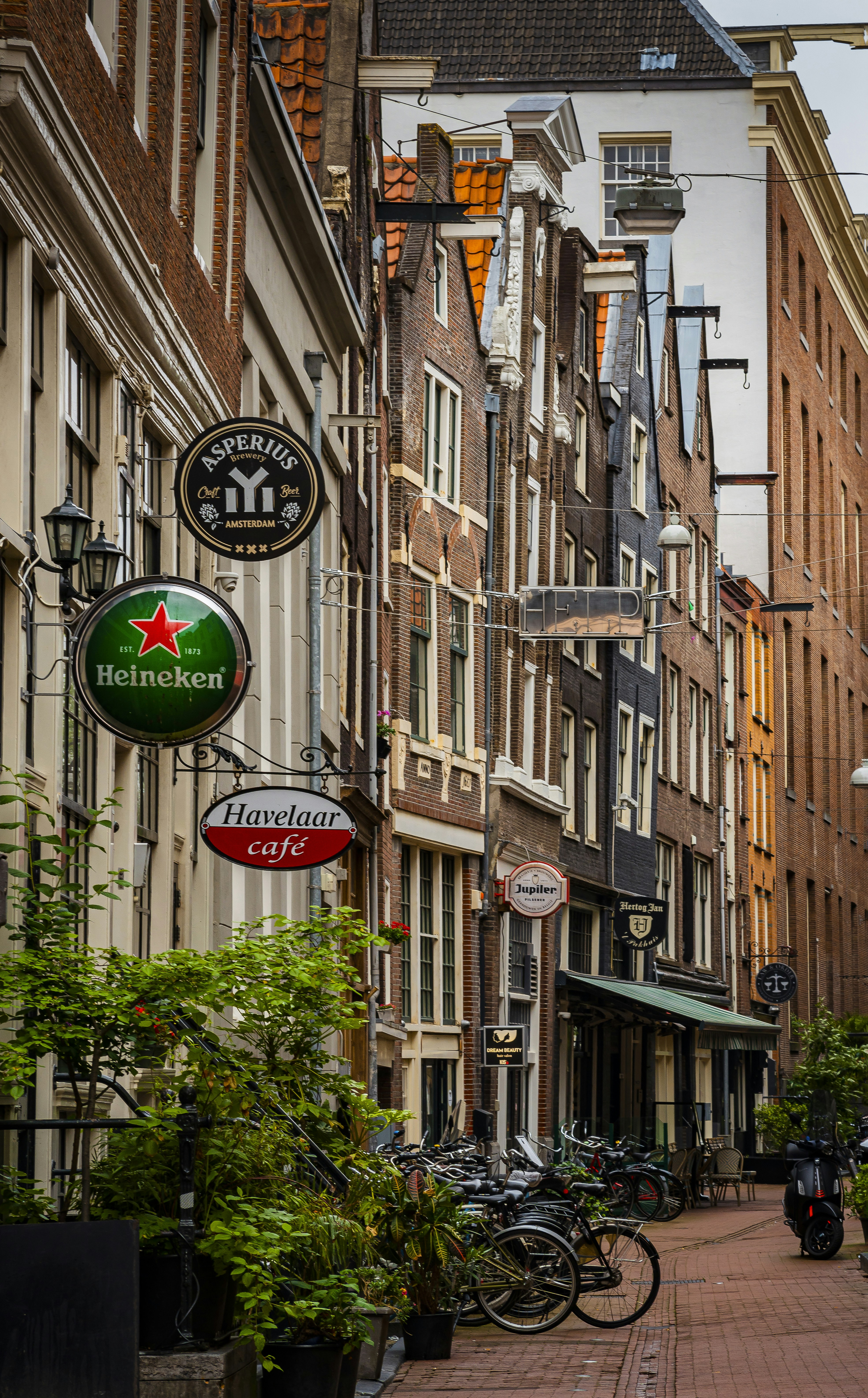 Photo by jahan_photobox