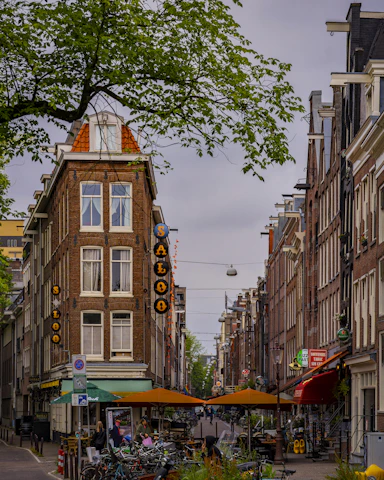 café brown Amsterdam spécialité Néerlandaise 