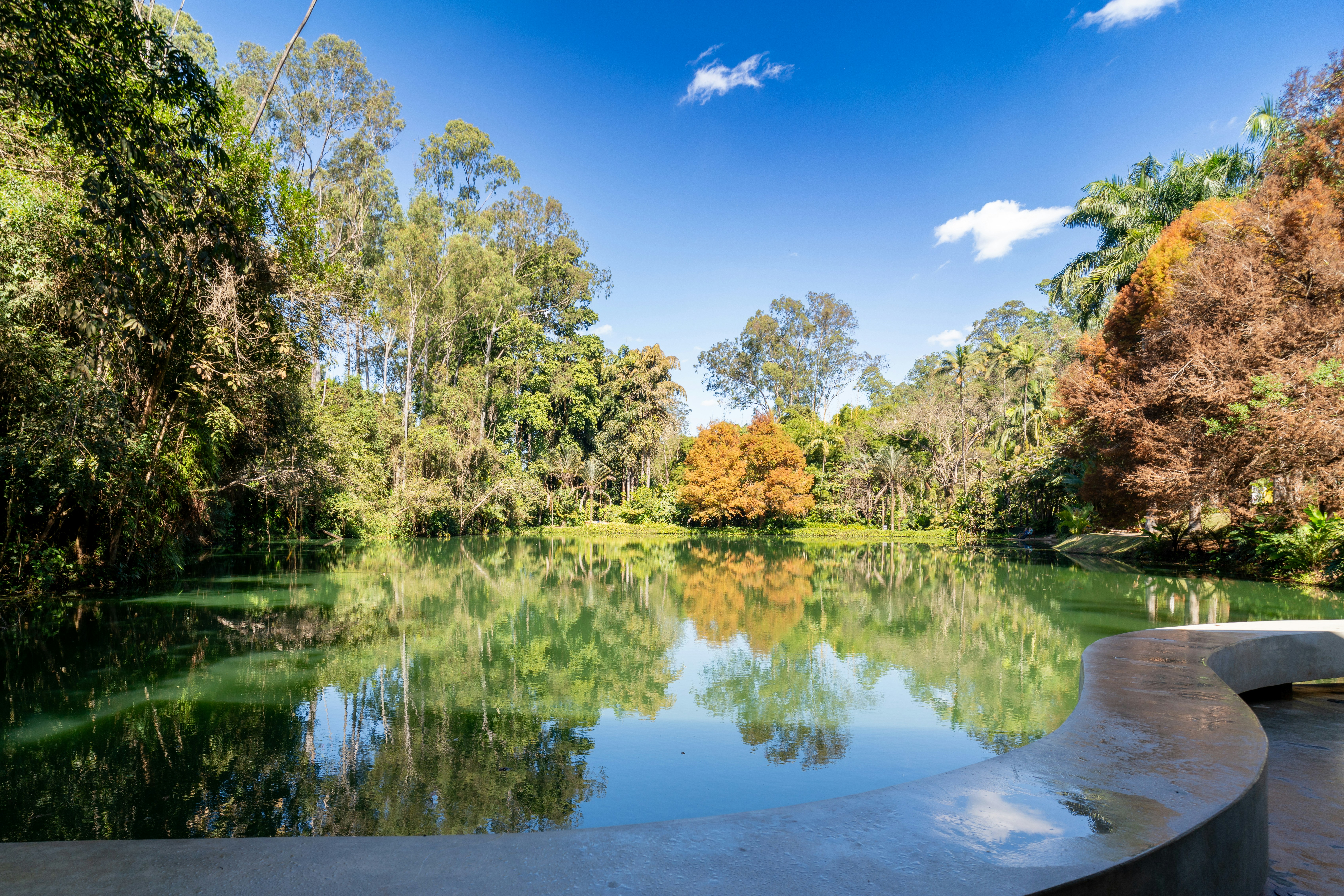 Photo by rafaelafeitos