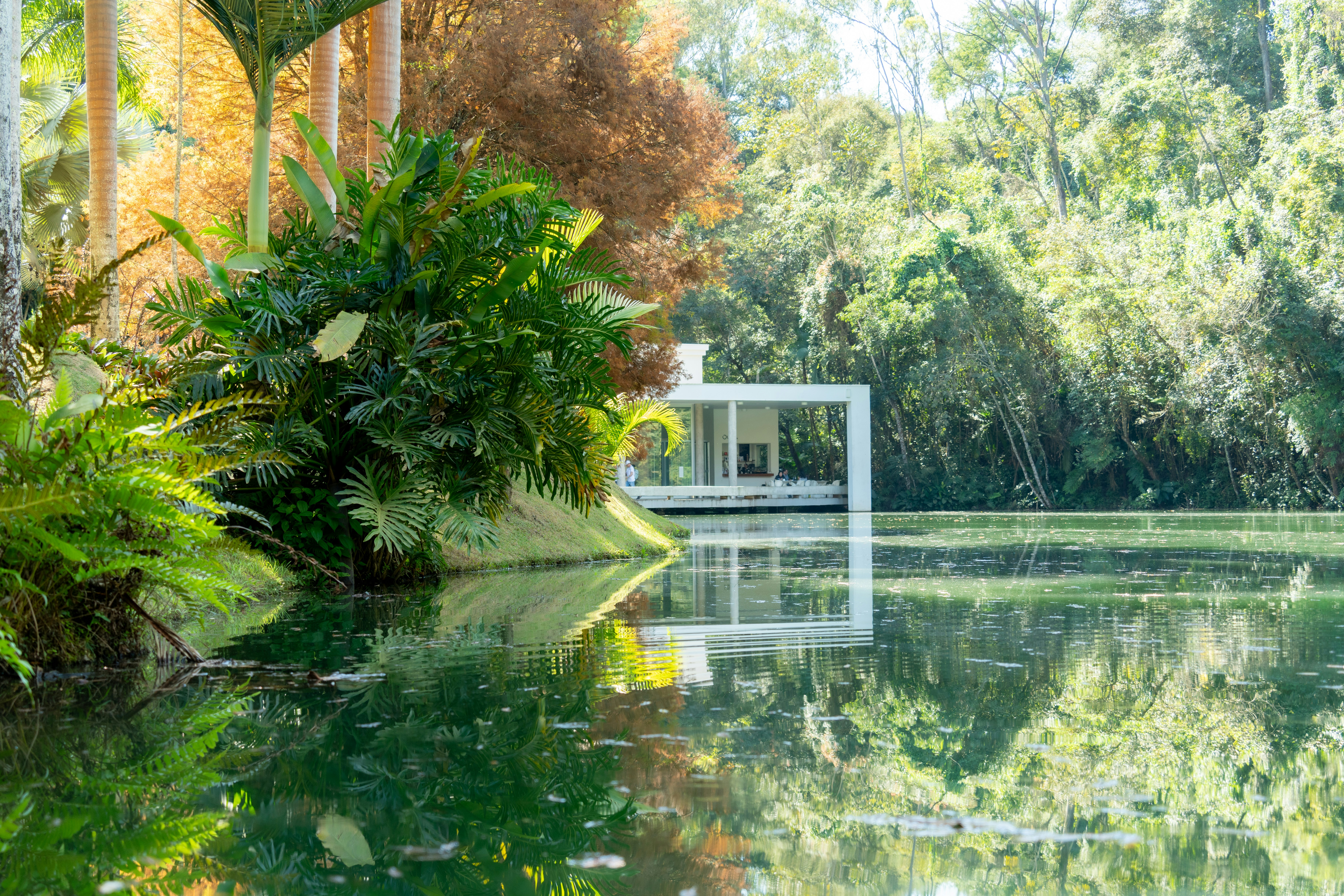 Photo by rafaelafeitos