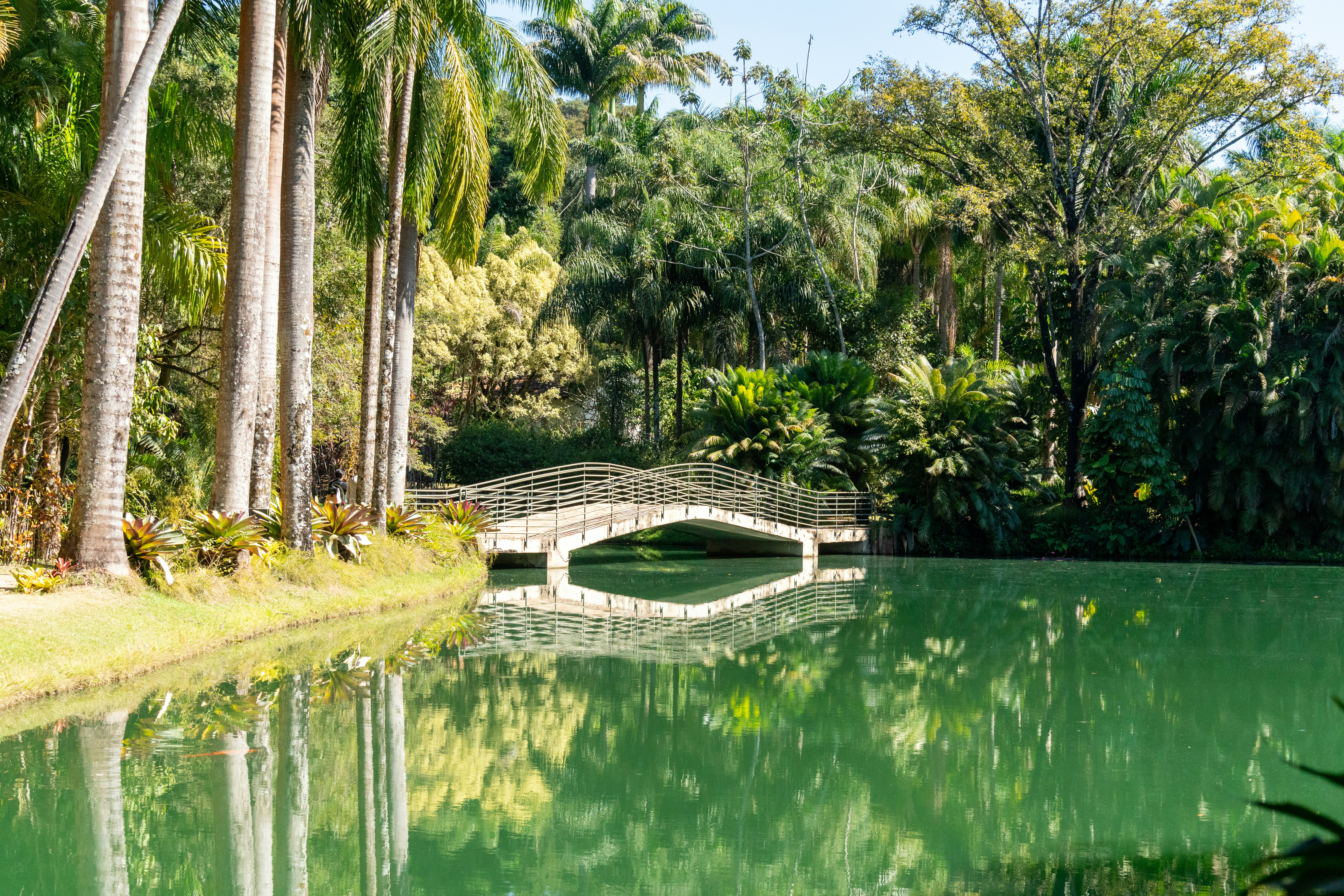 Photo by rafaelafeitos