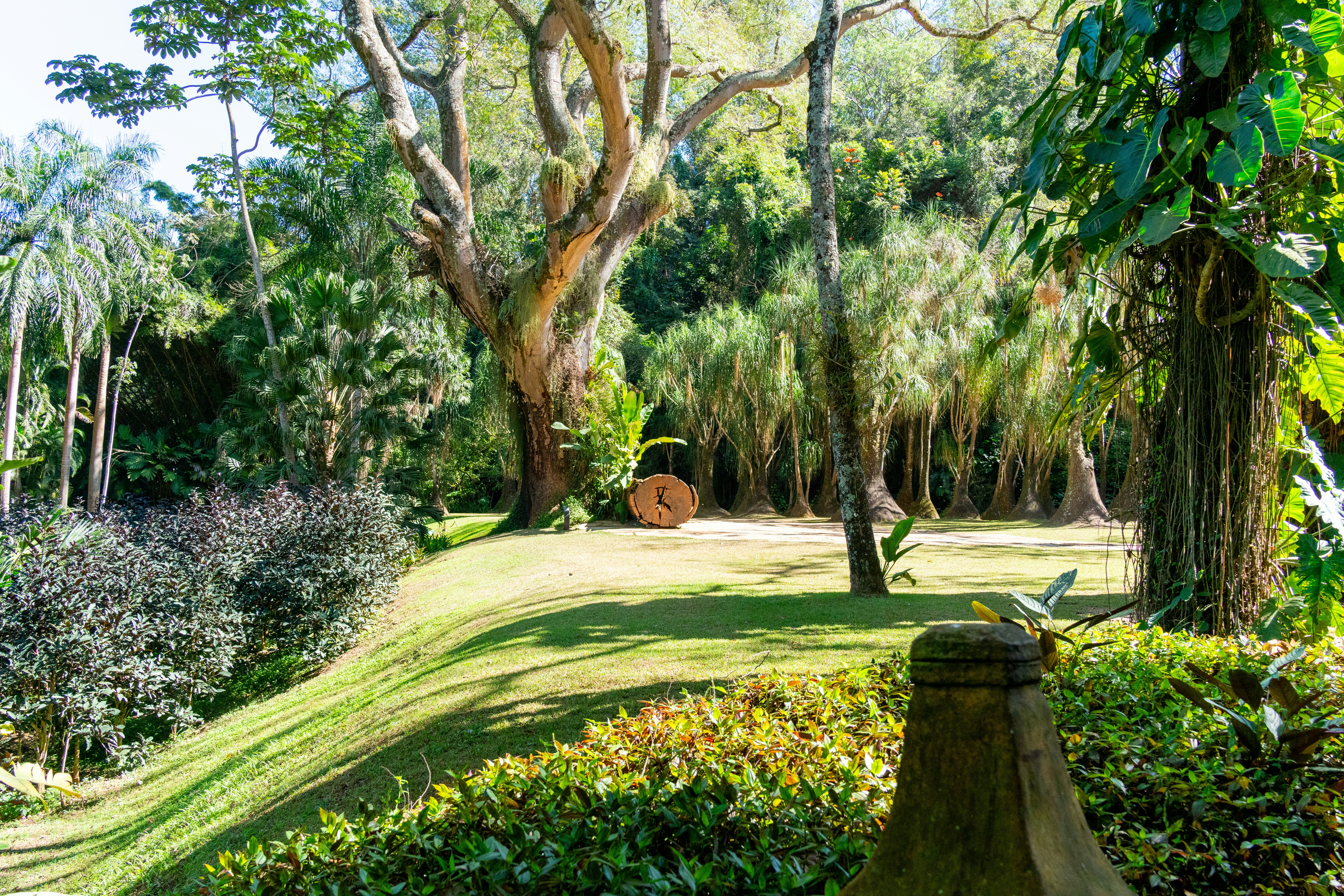 Photo by rafaelafeitos