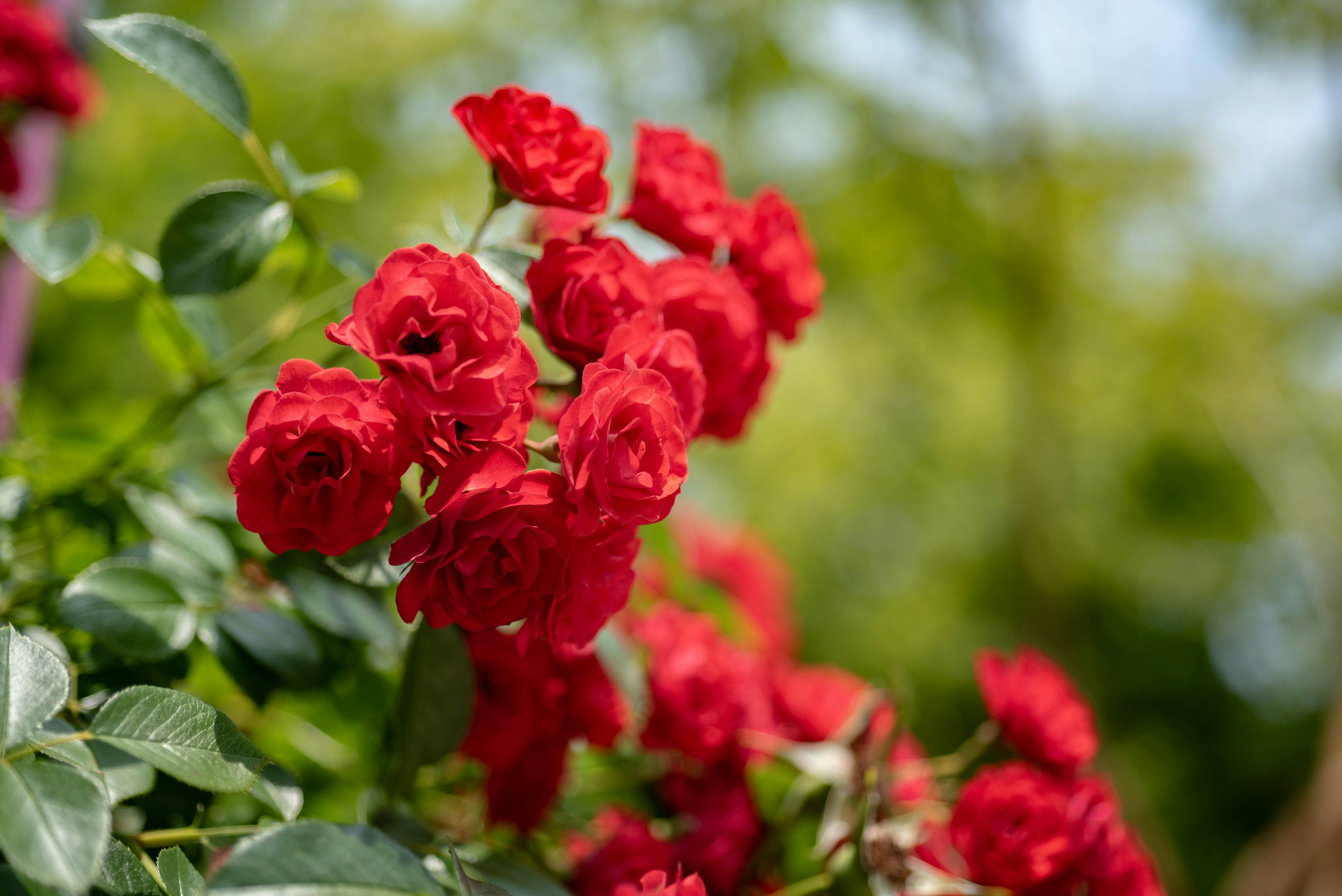 무료실시간토토오톡티비