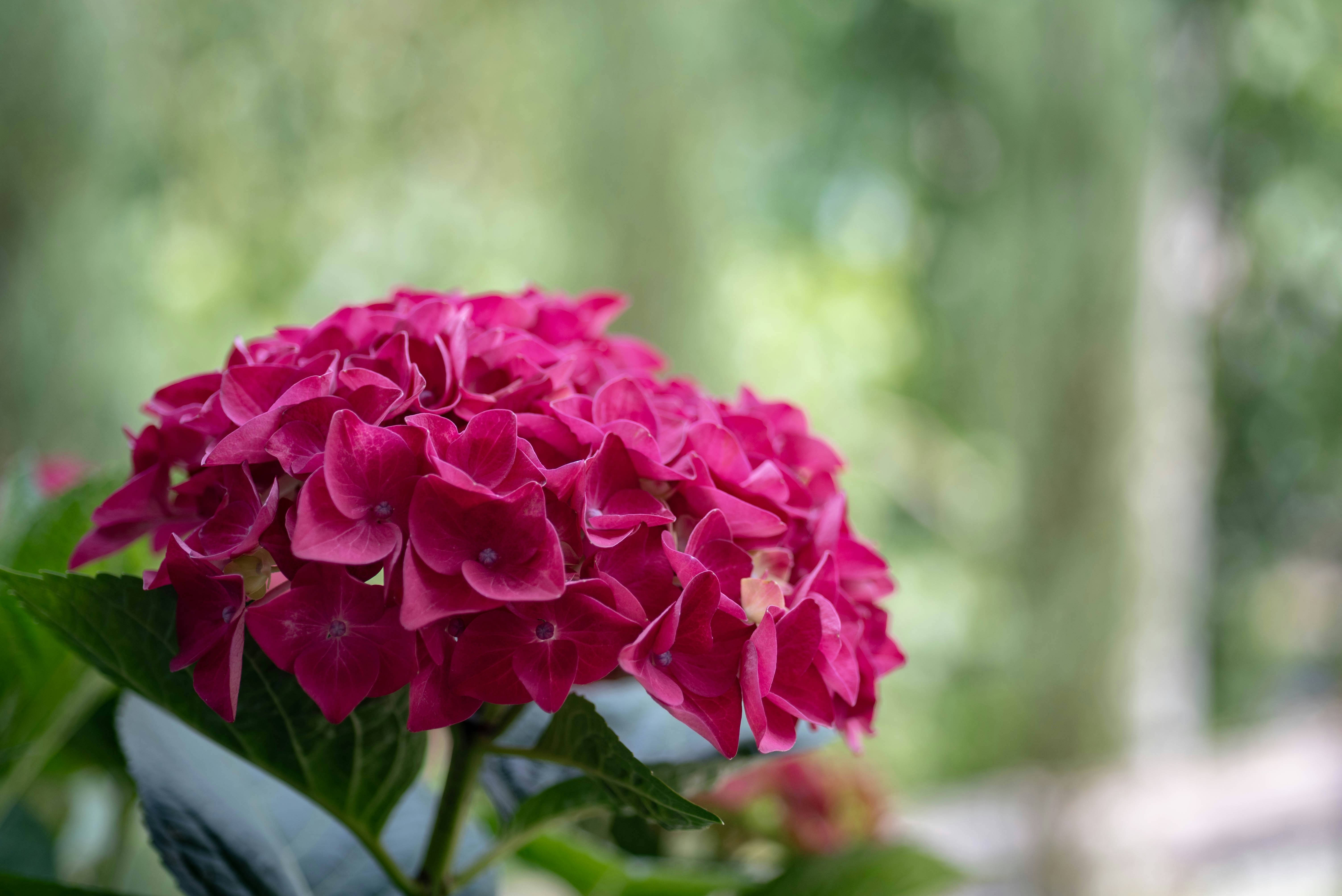 Photo by rays_pickpic