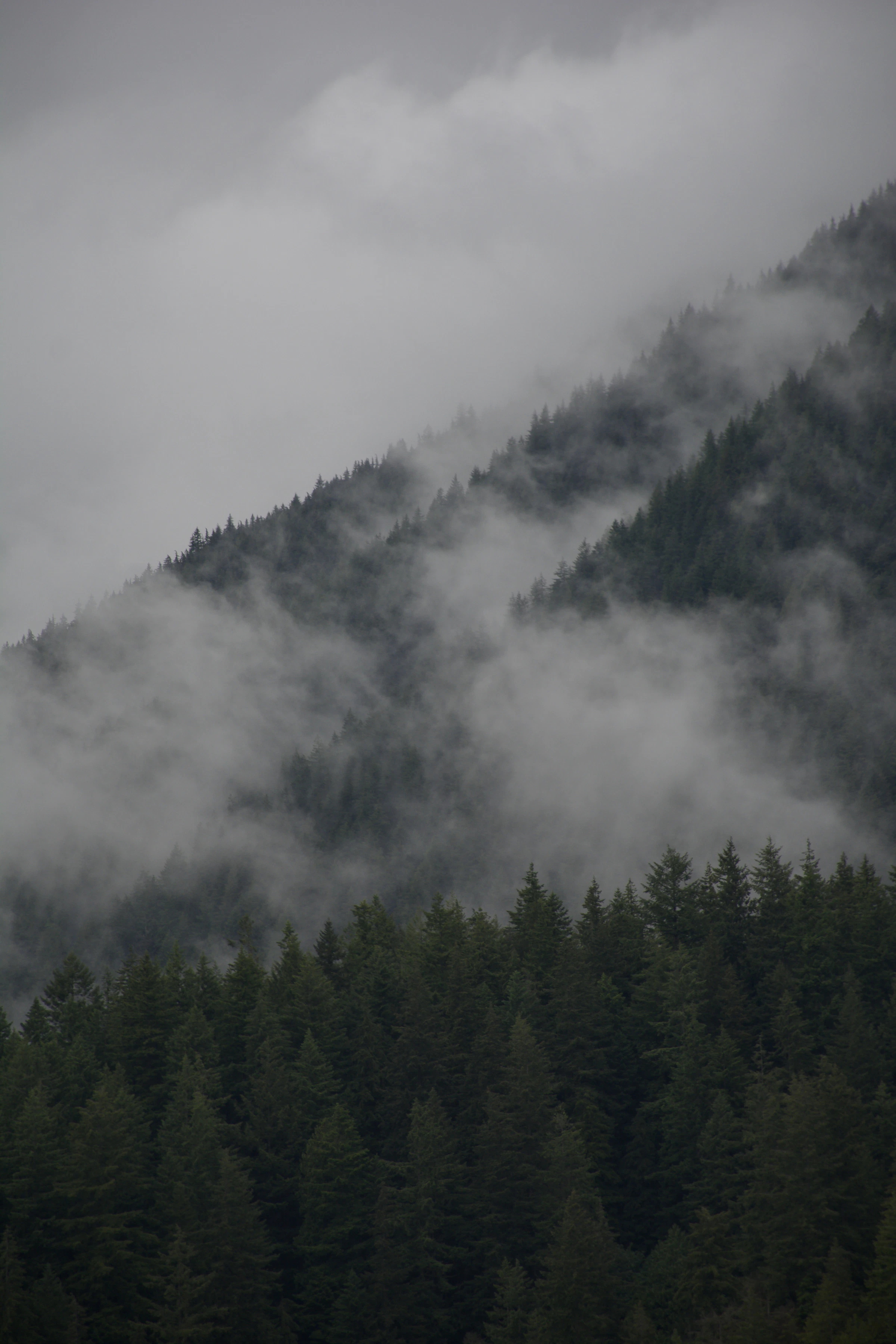 Great Smoky Mountains at dawn