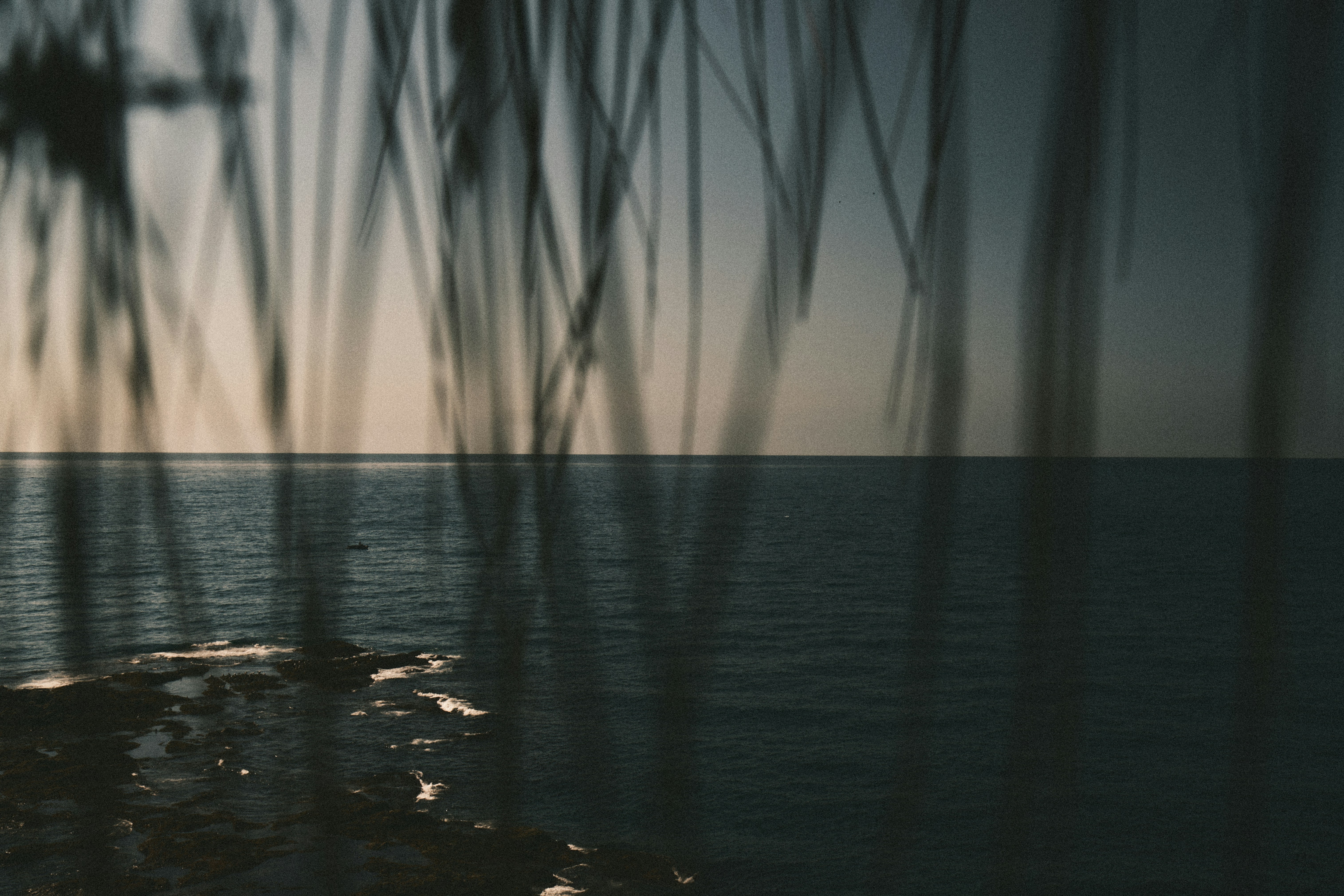 Photo by evgenii__kim