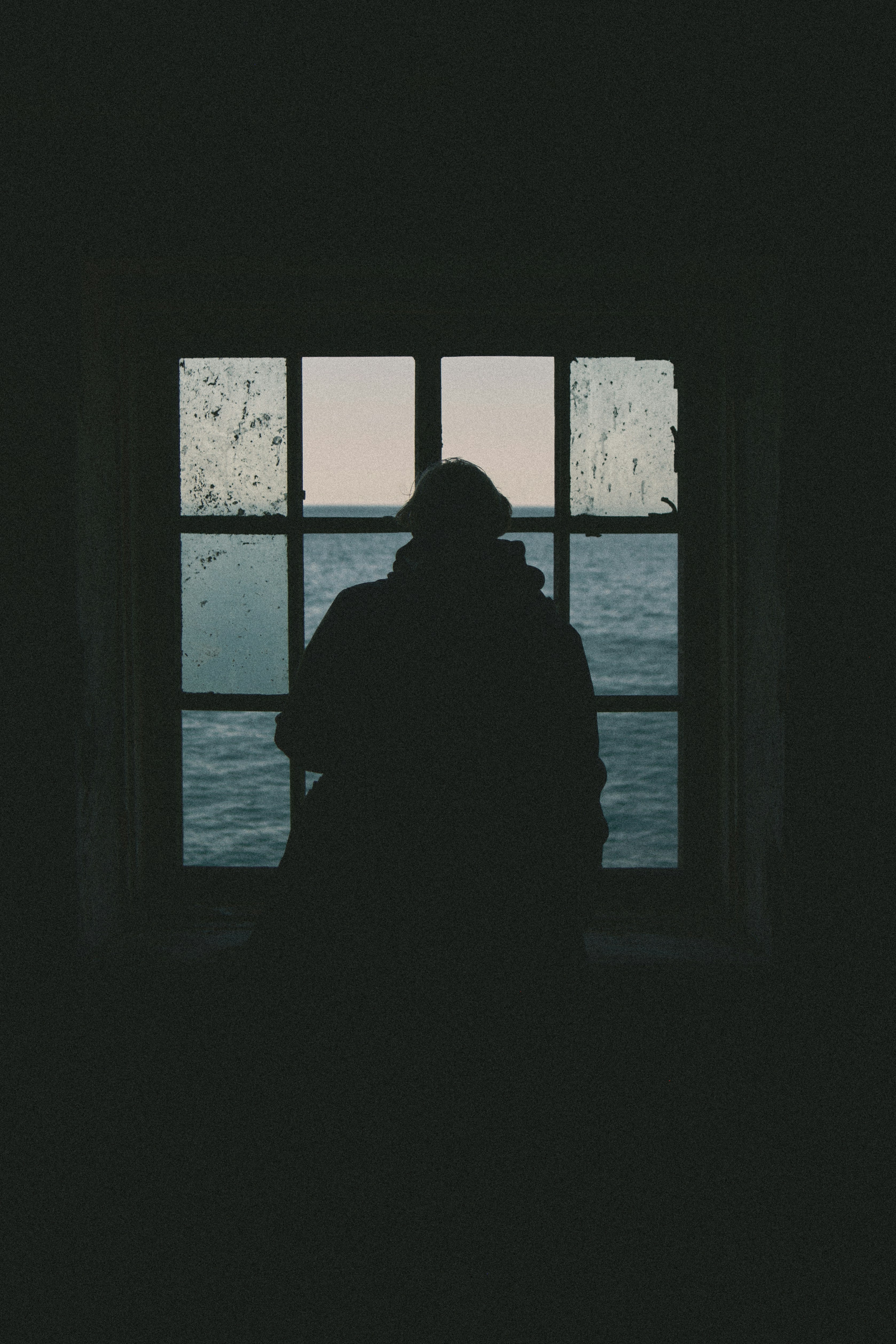 A person standing in front of a window looking out at the water