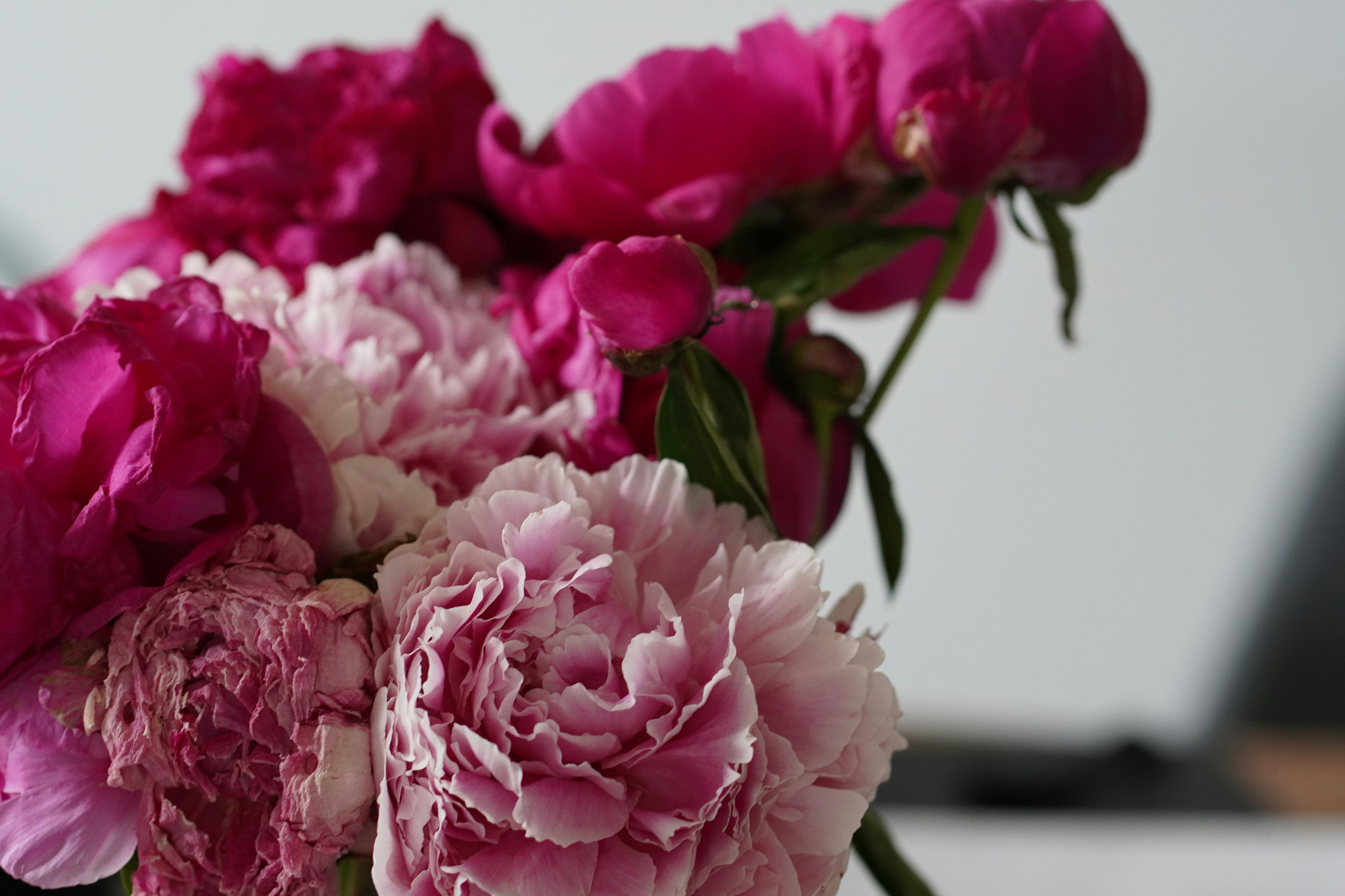 Photo by kolbymilton