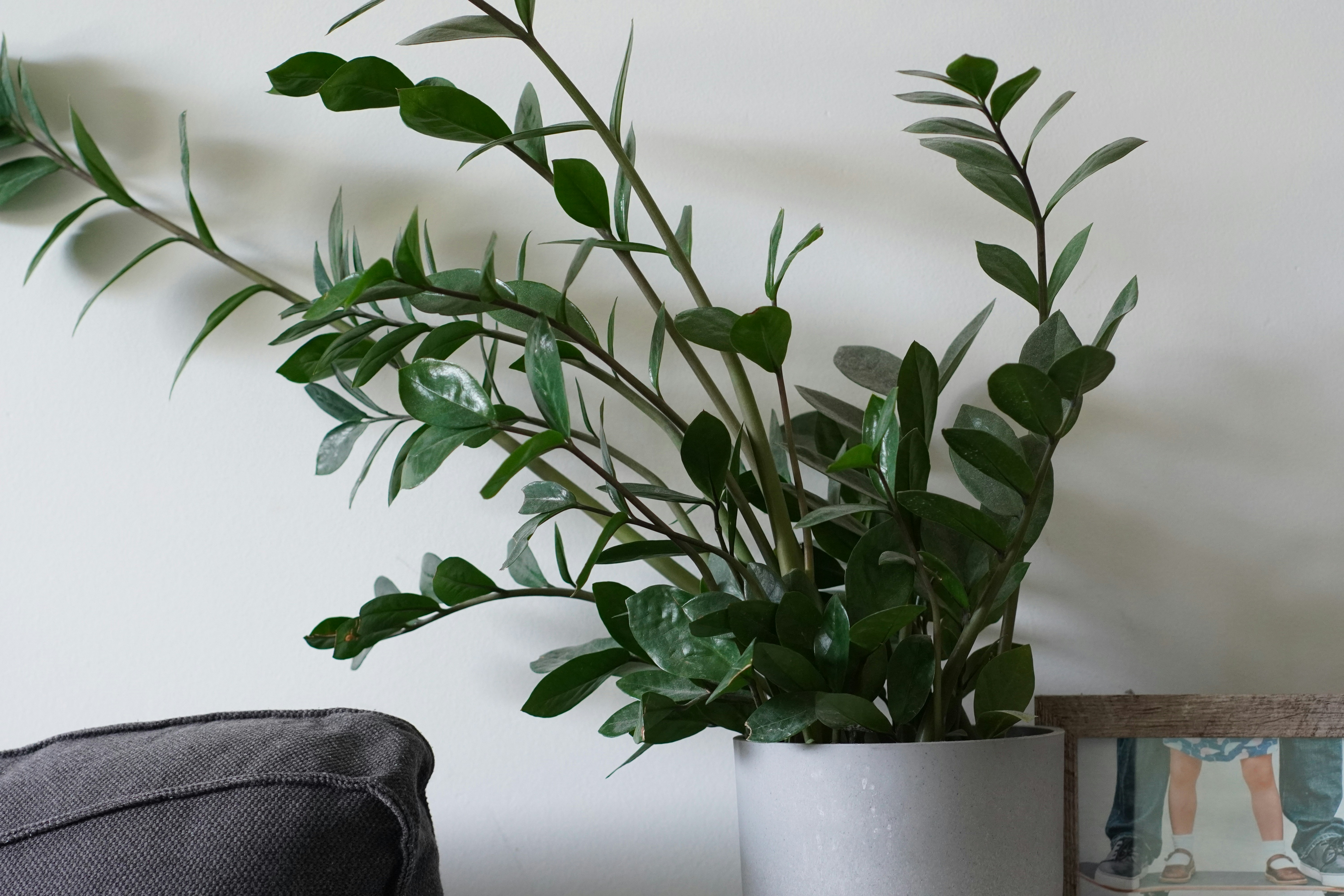 Photo by kolbymilton