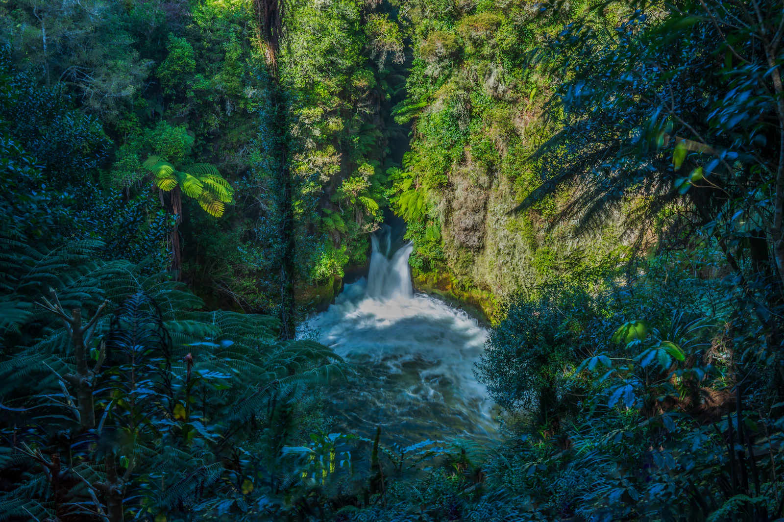 A waterfall falling through dense native bush at Okere Falls, Rotorua