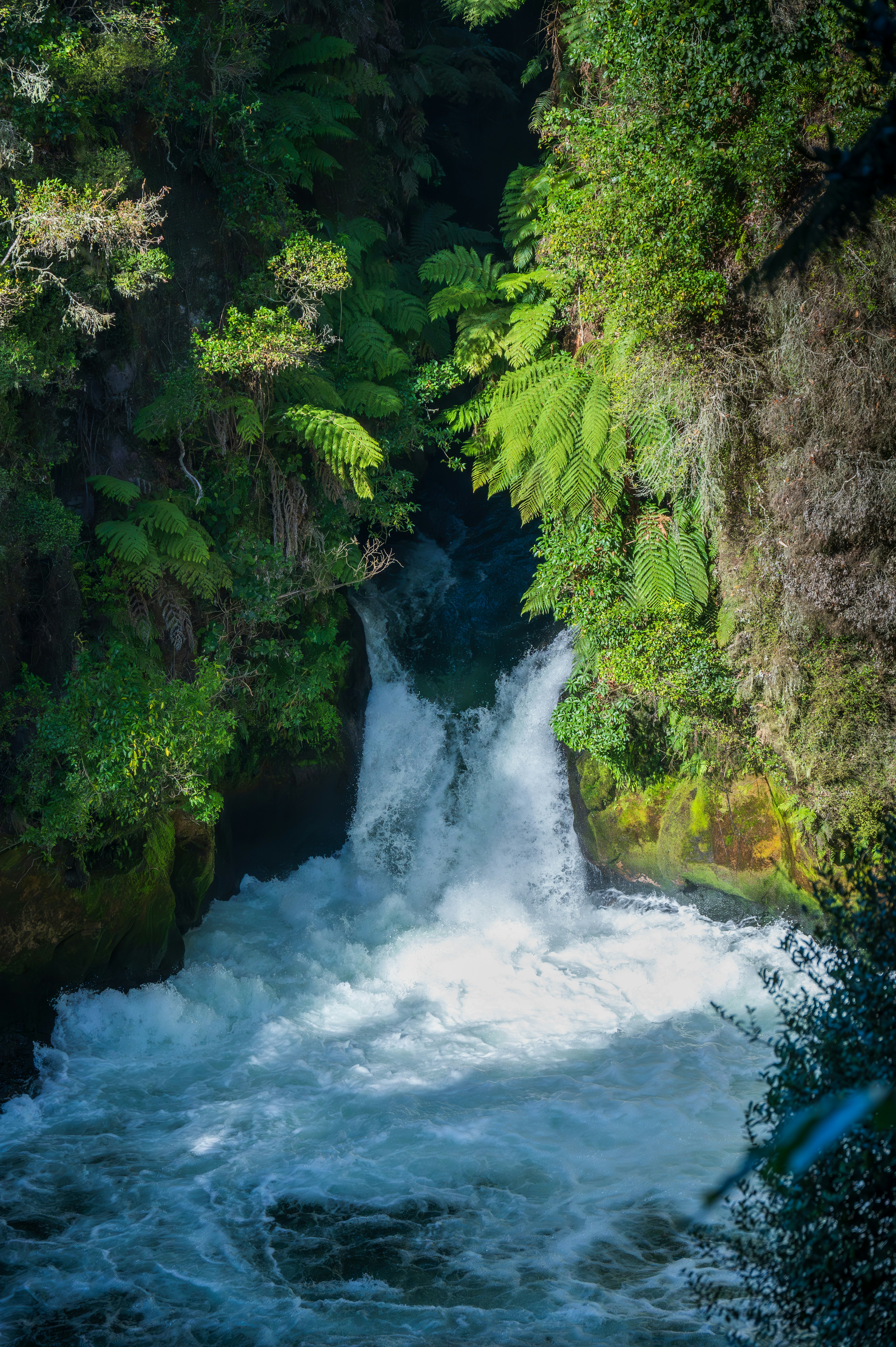 Photo by toby_hall28