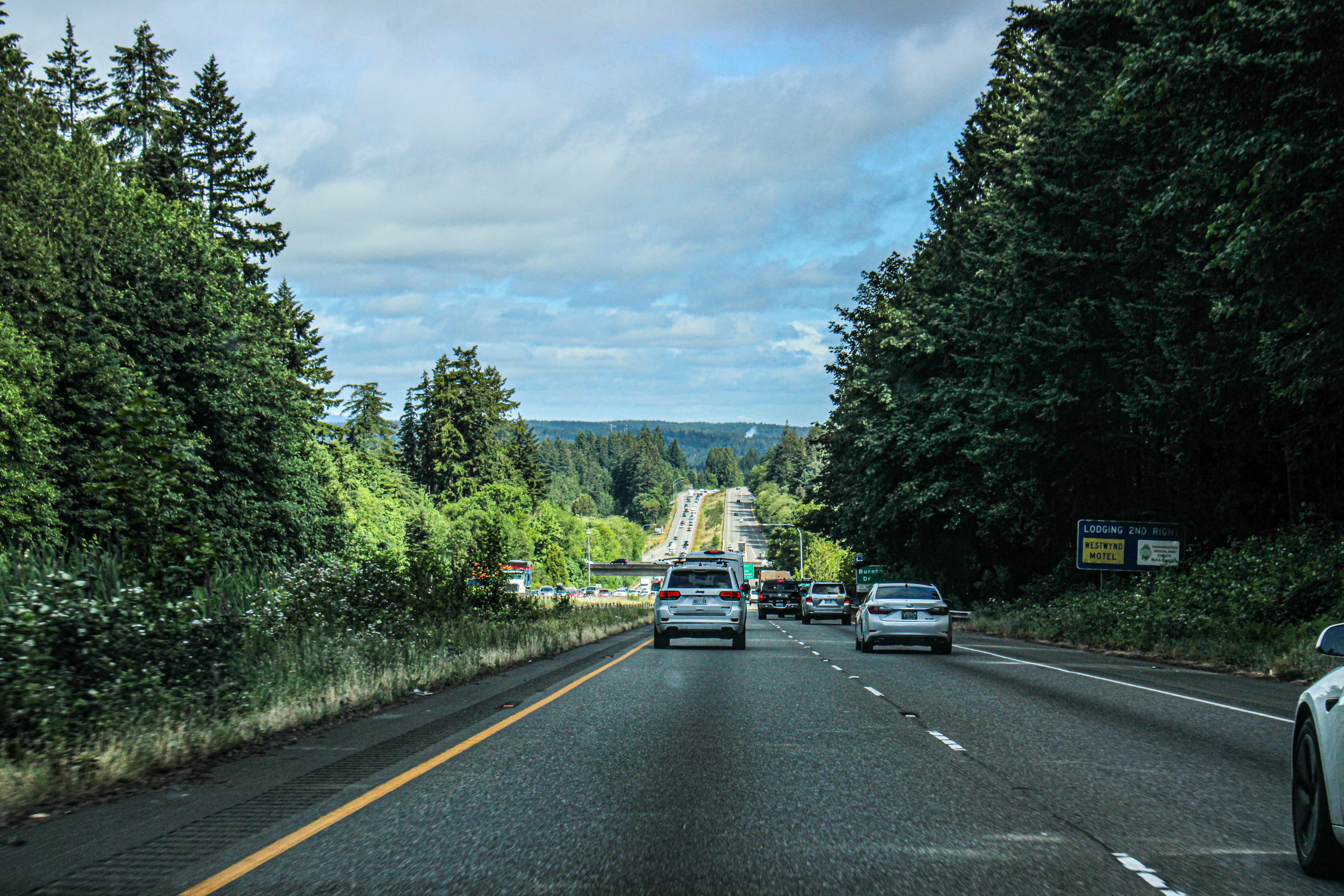 A car driving down a road next to a forest