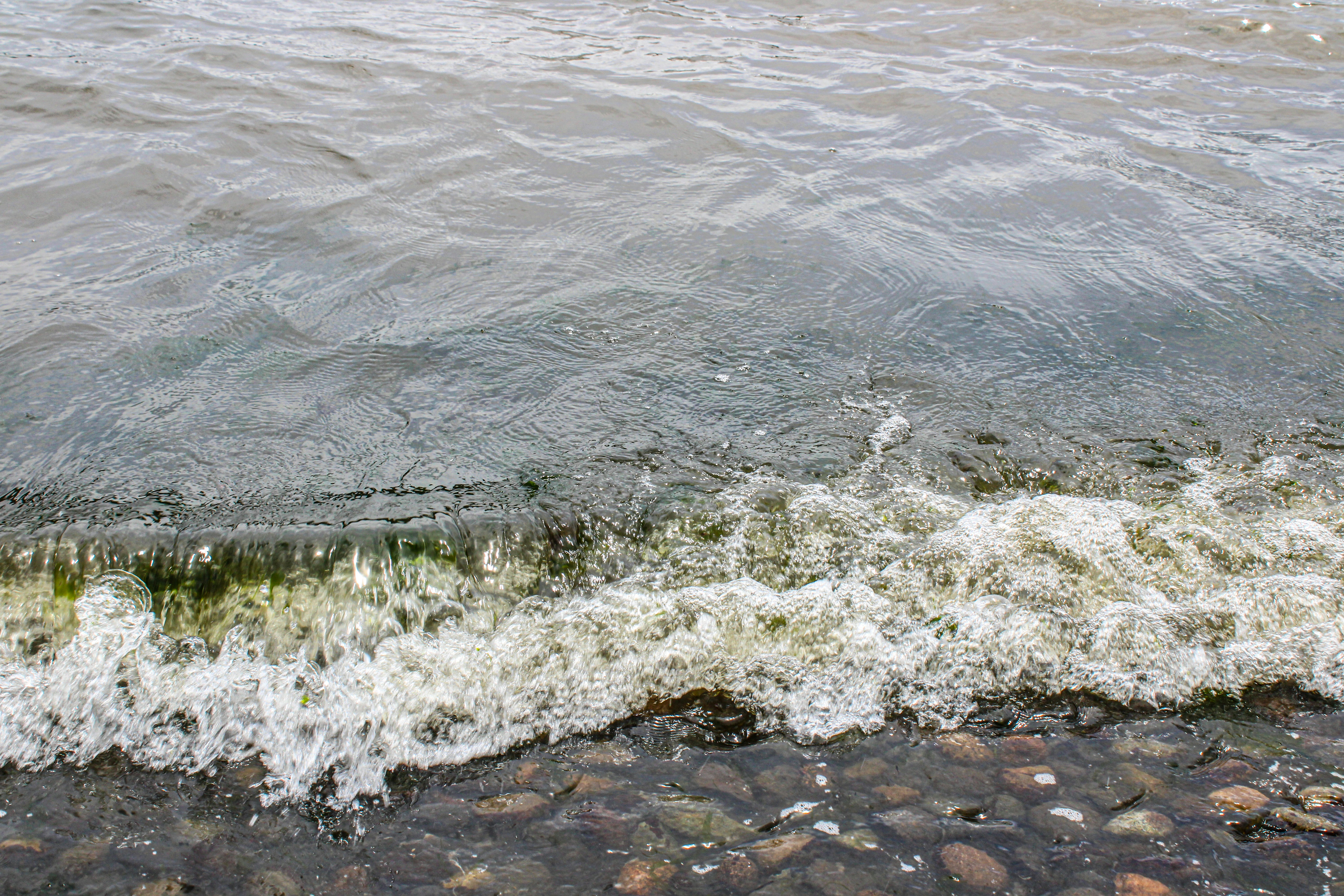 Photo by prphotography262