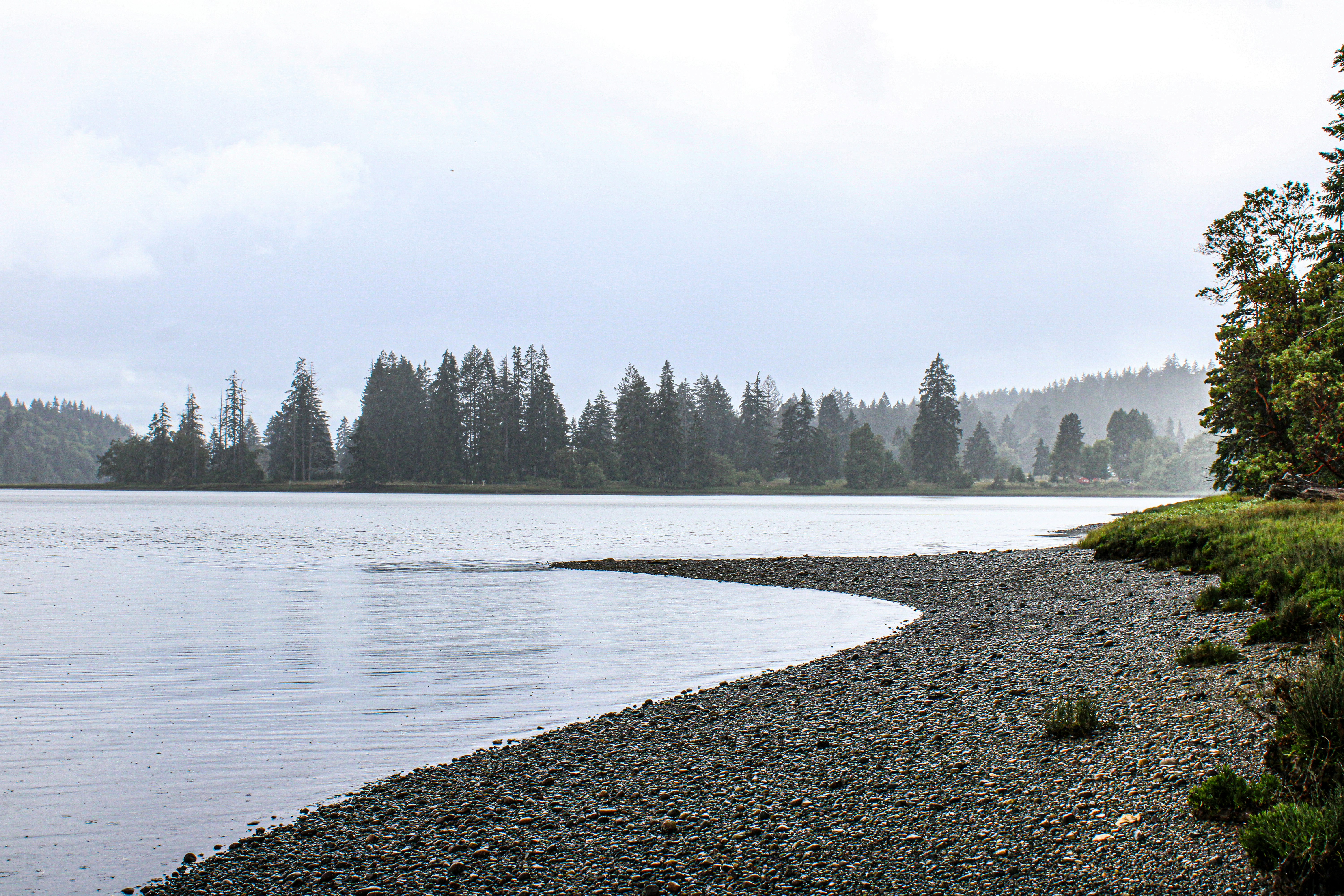 A large body of water surrounded by trees