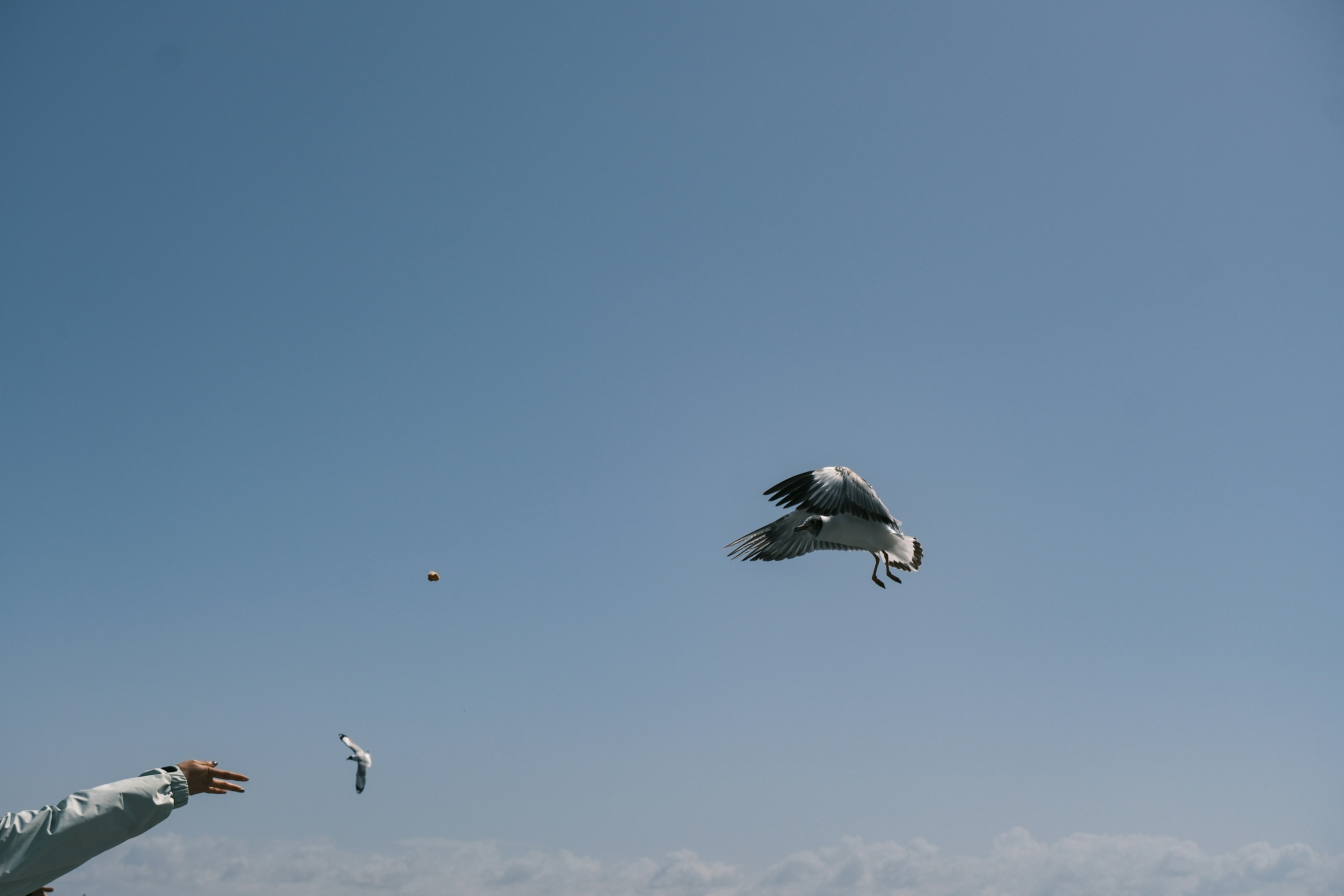A man is flying a kite on the beach