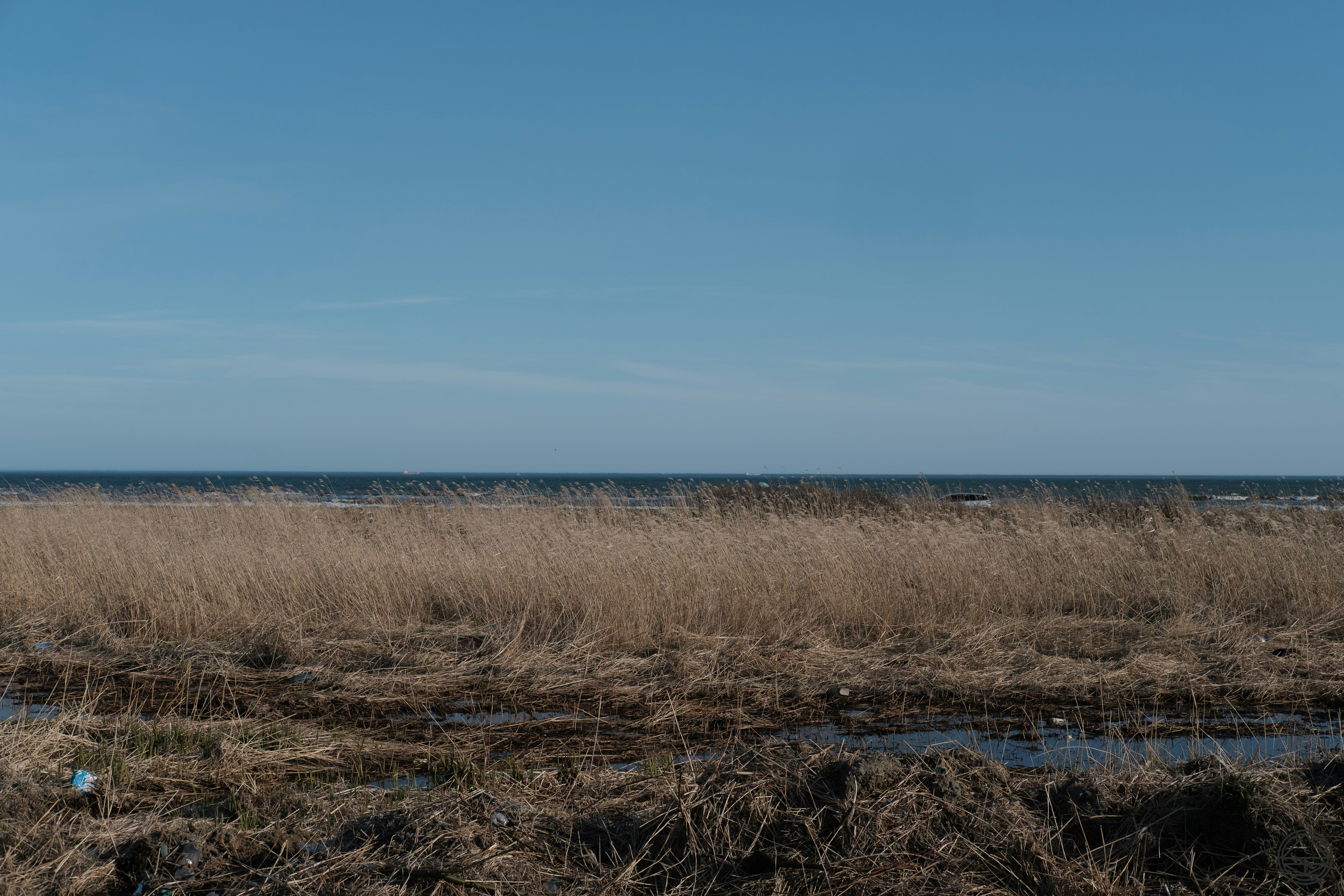 Photo by evgenii__kim