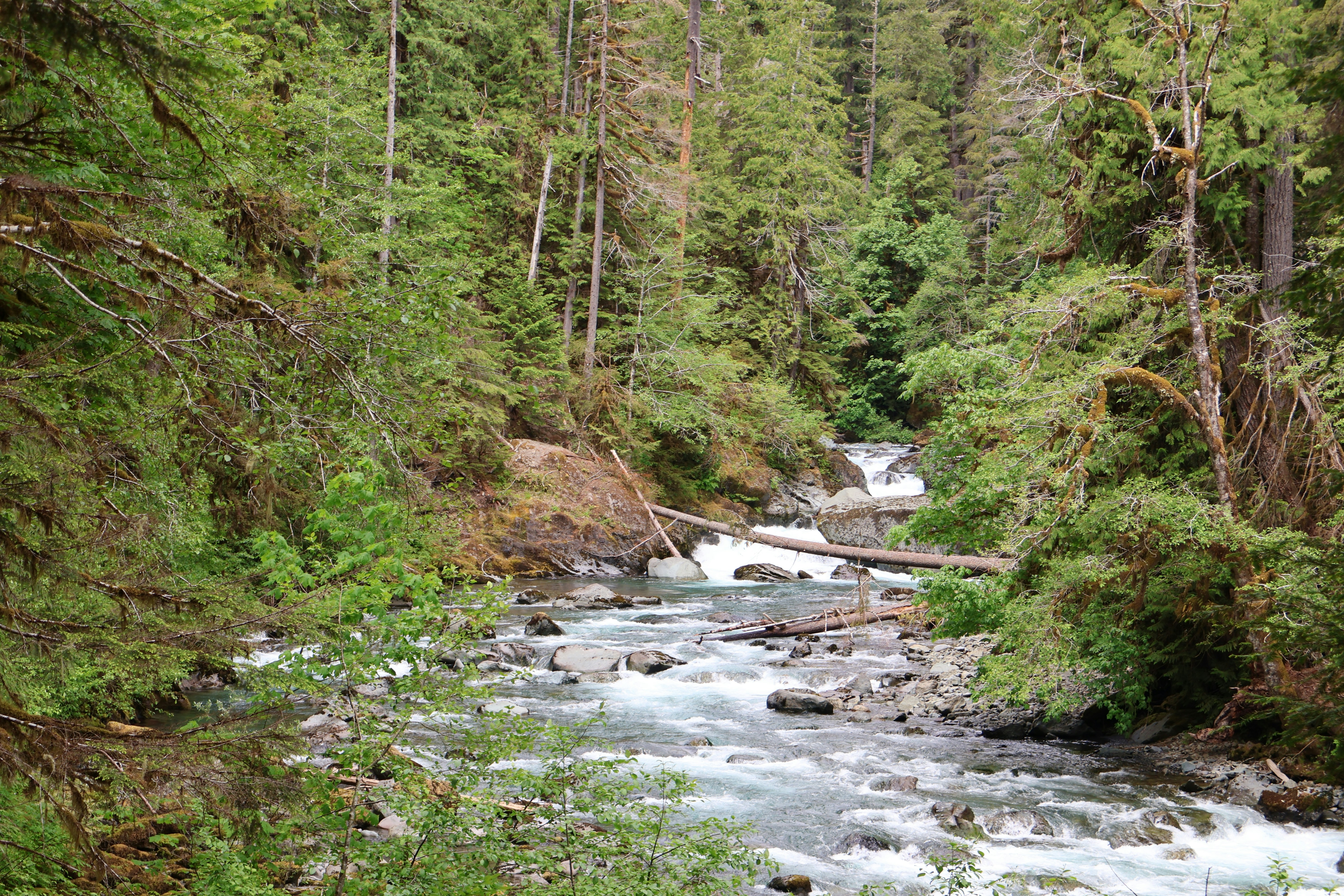 Photo by kittykatzen